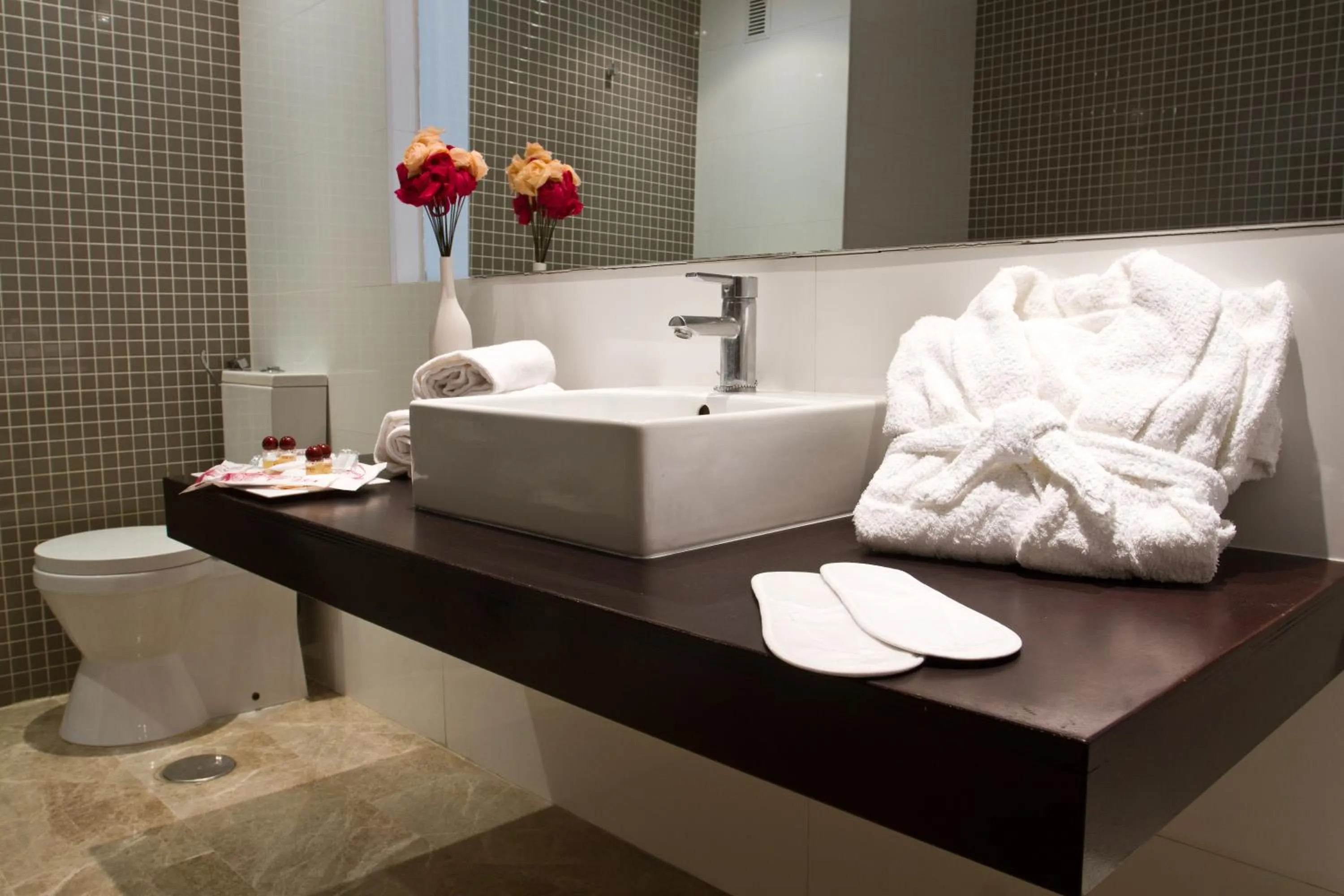 Toilet in Hotel & SPA Dynastic