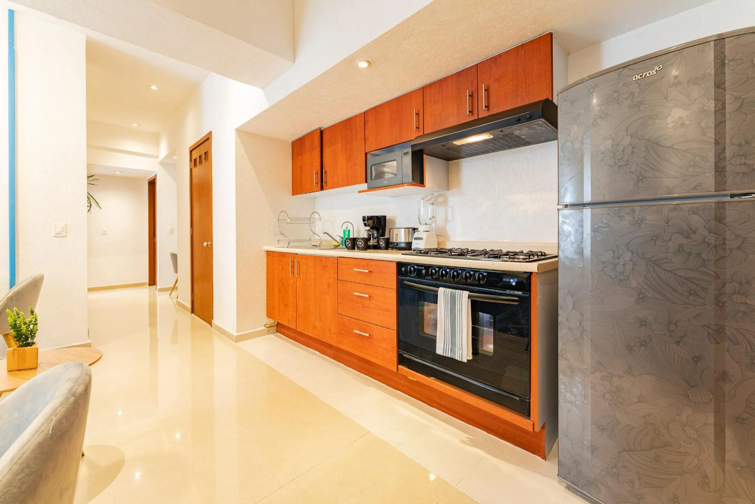 Kitchen or kitchenette in Anahuac Apartments by VH