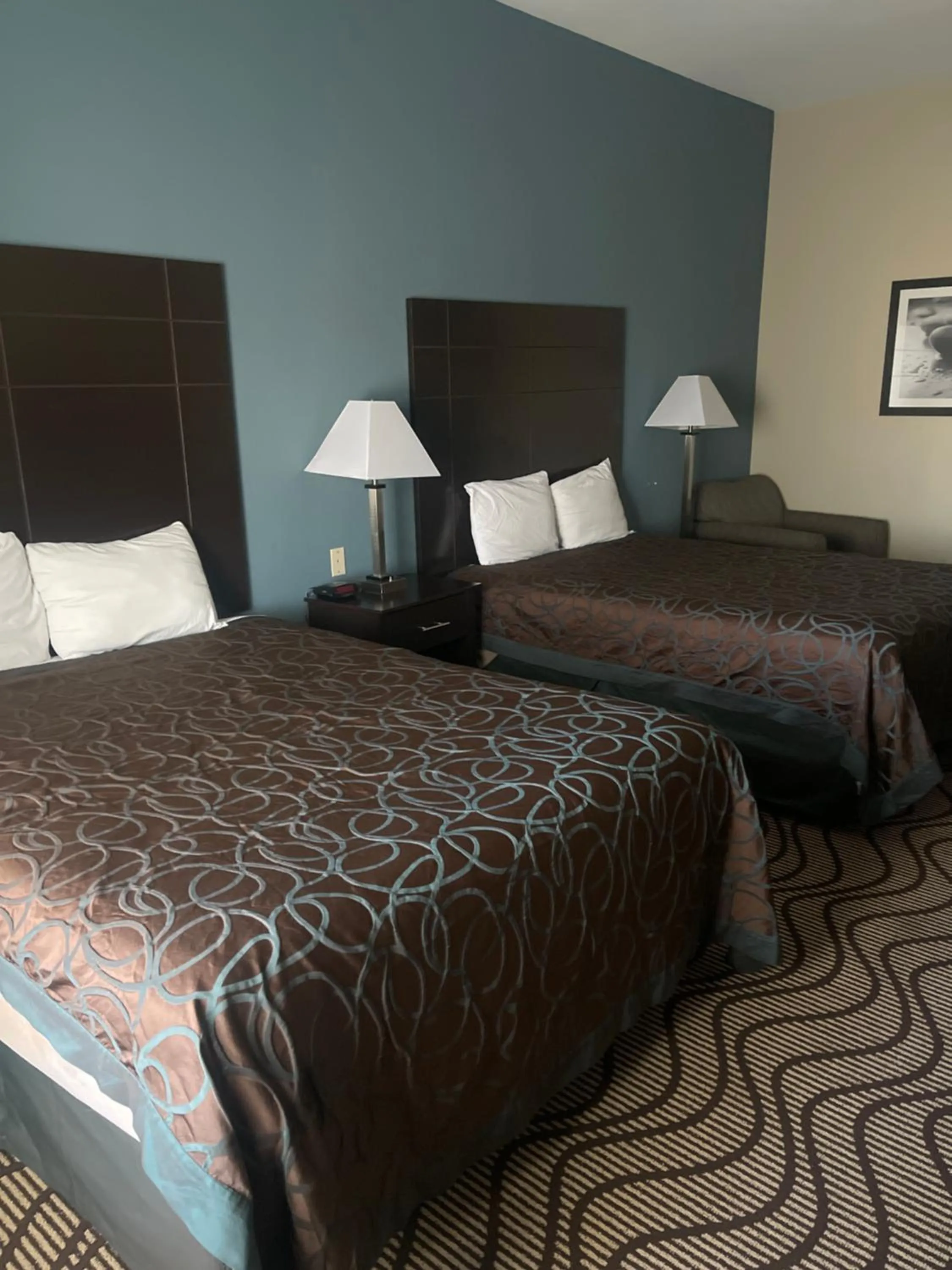 Bed in La Plaza Inn and Suites - Freer TX