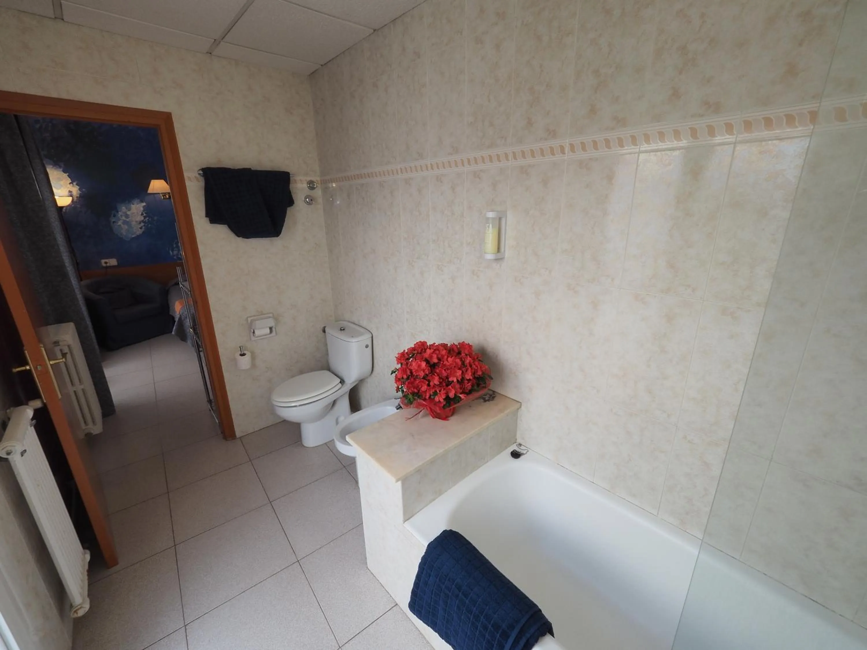 Photo of the whole room in Hotel Montserrat