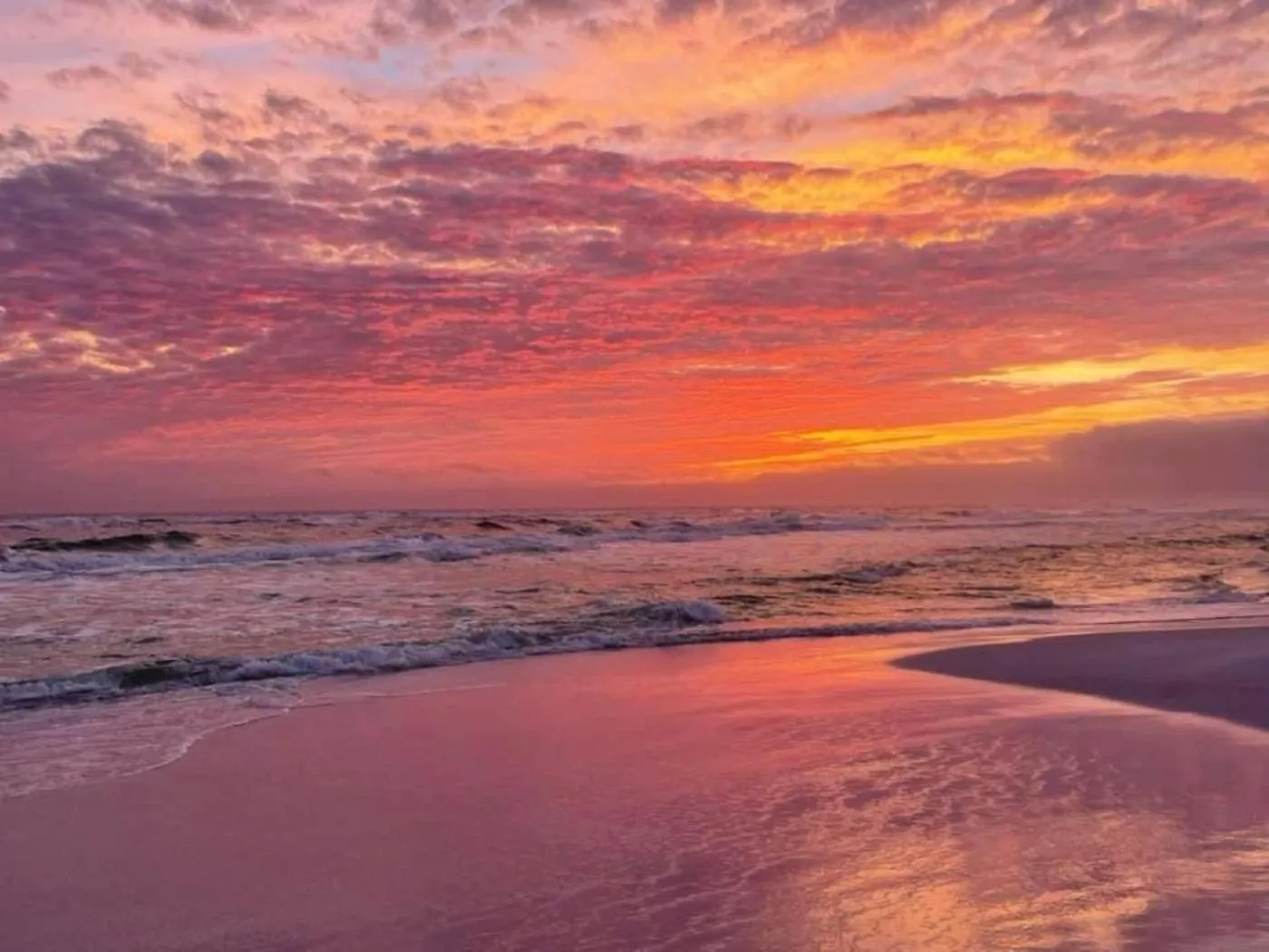 Beach in Sunrise Surprise 9th floor 2BR 2 BA King Suite Beach shuttle, heated pool!