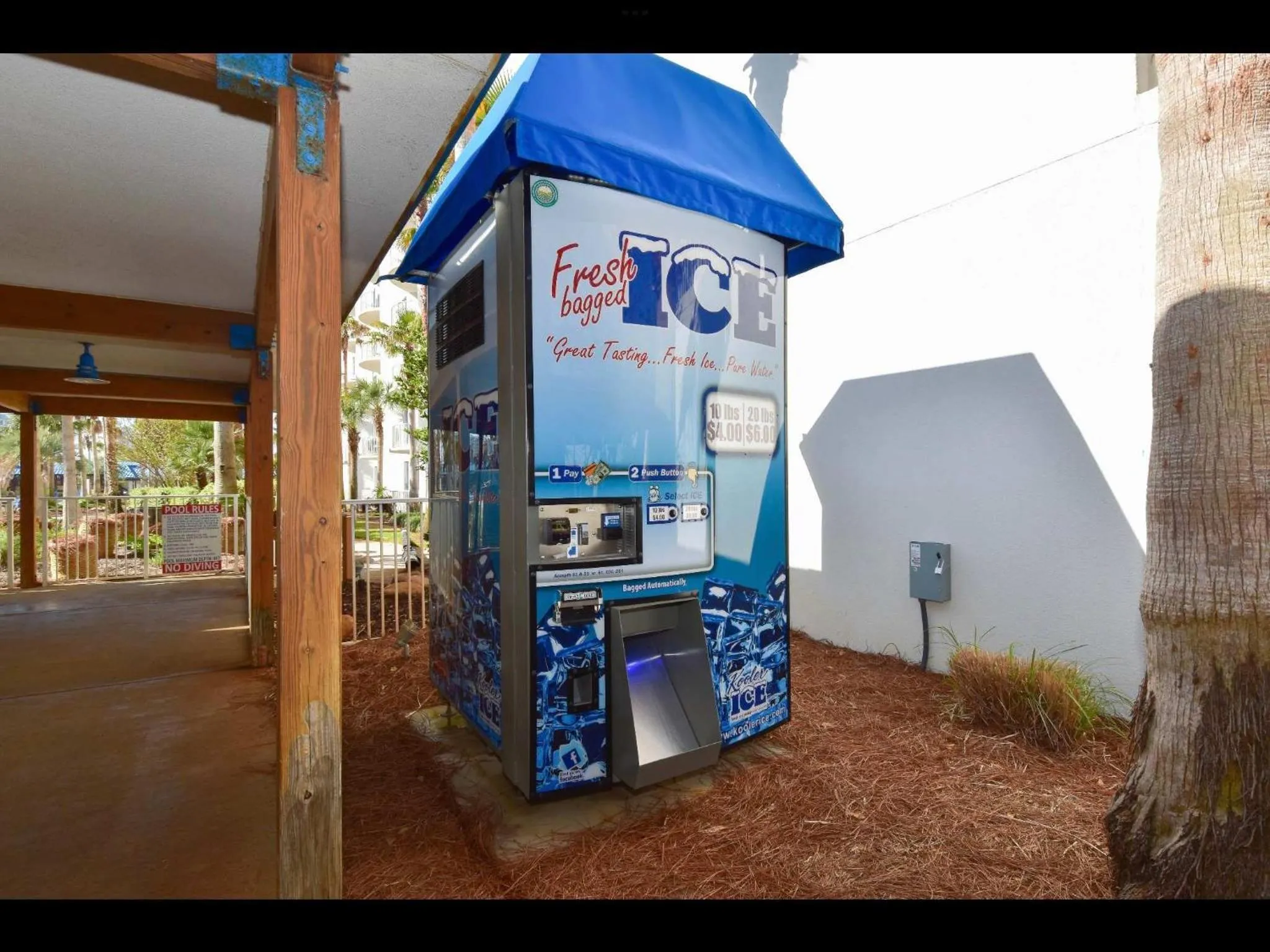 Sunrise Surprise 9th floor 2BR 2 BA King Suite Beach shuttle, heated pool!