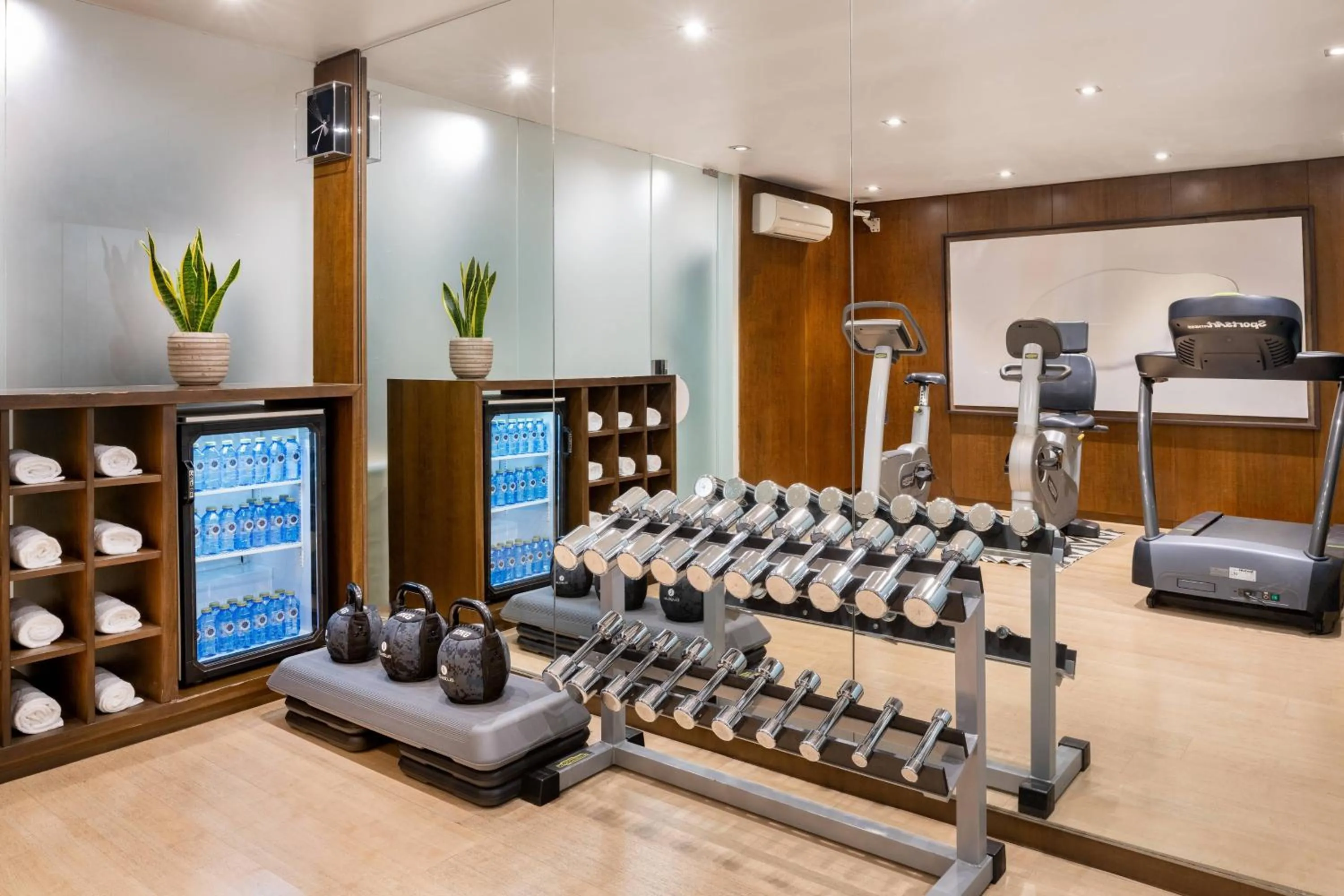Fitness centre/facilities in AC Hotel Palacio Universal by Marriott