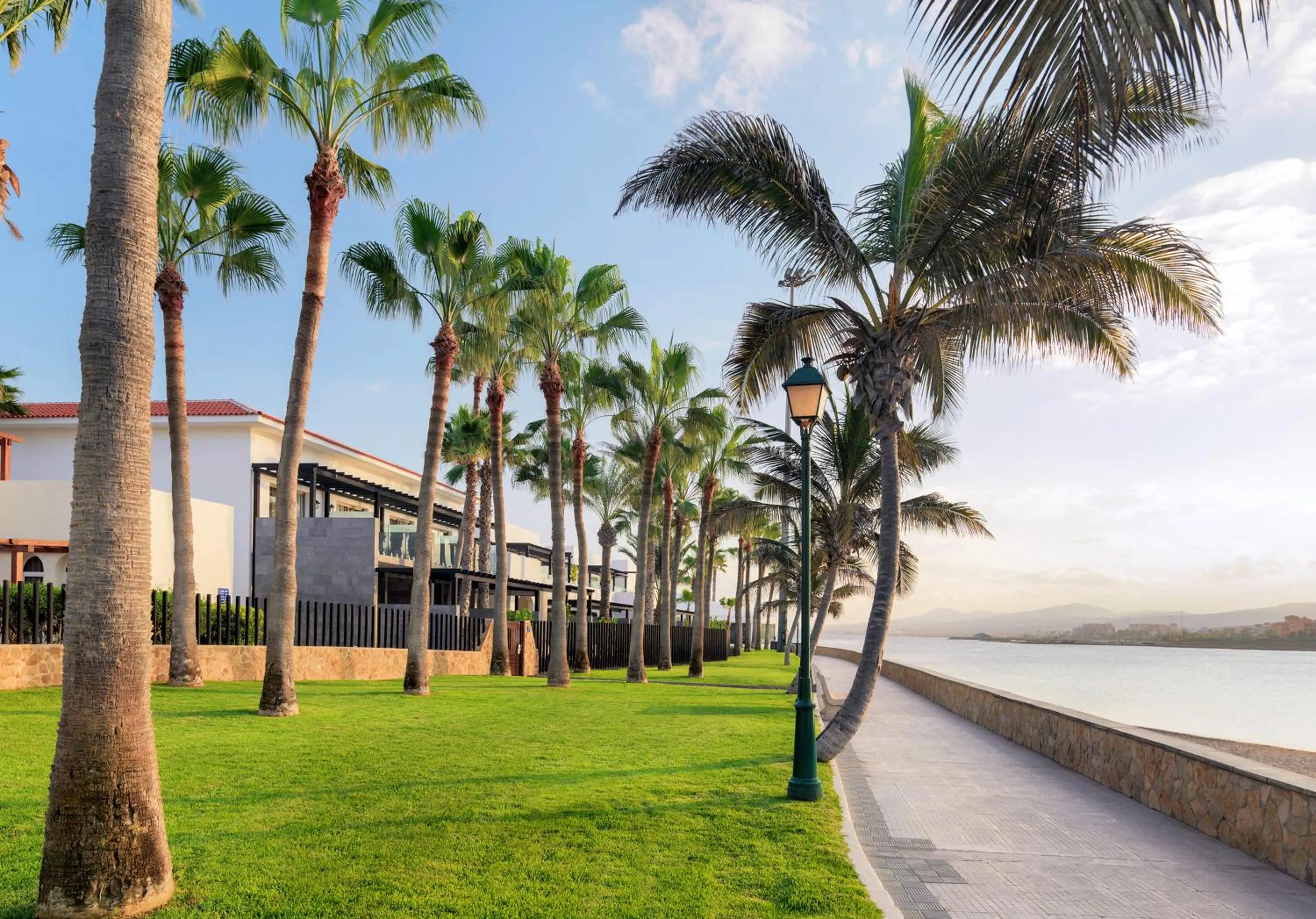 Beach in Barceló Fuerteventura Royal Level