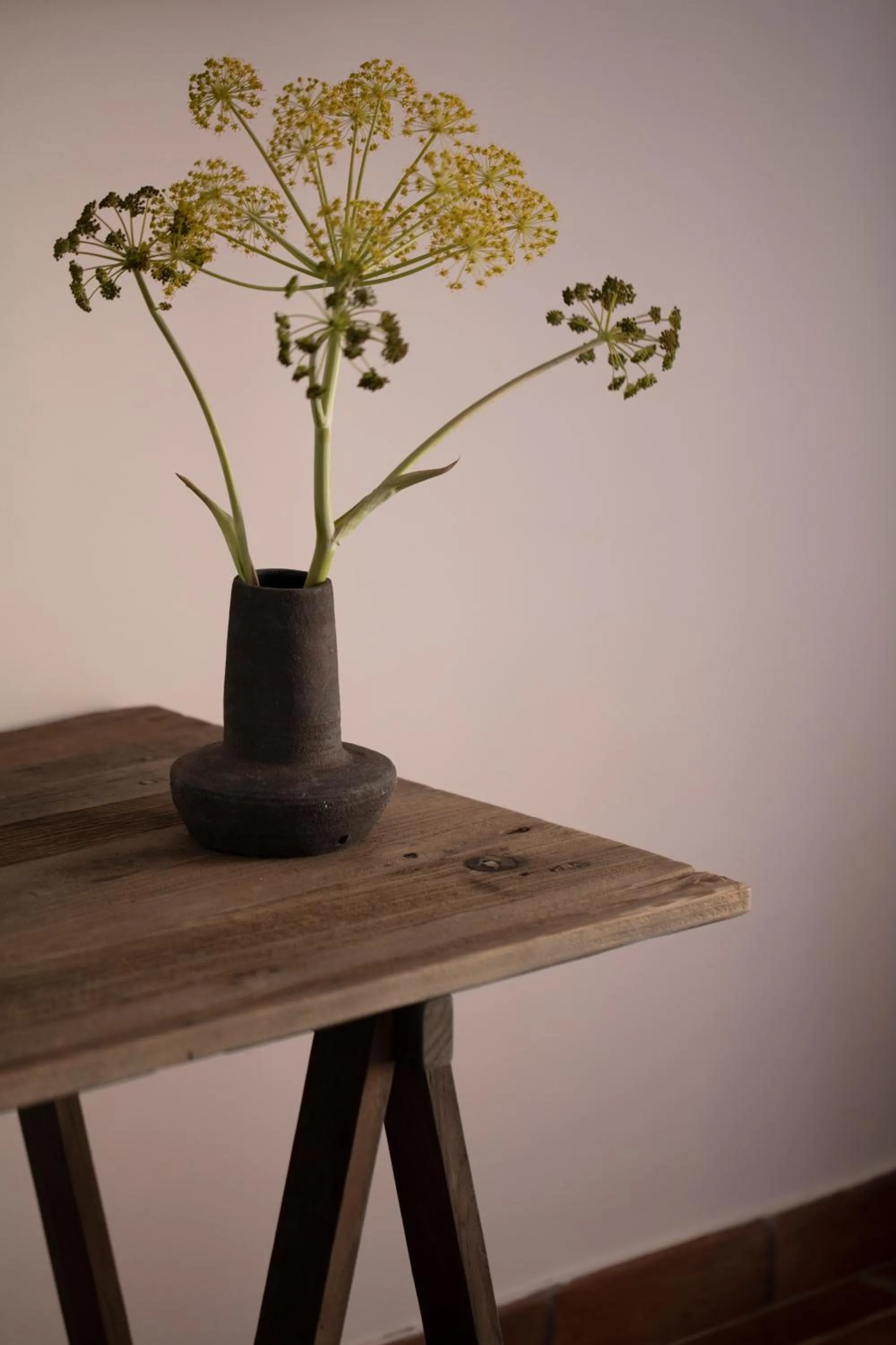 Can Arabí - Adults Only