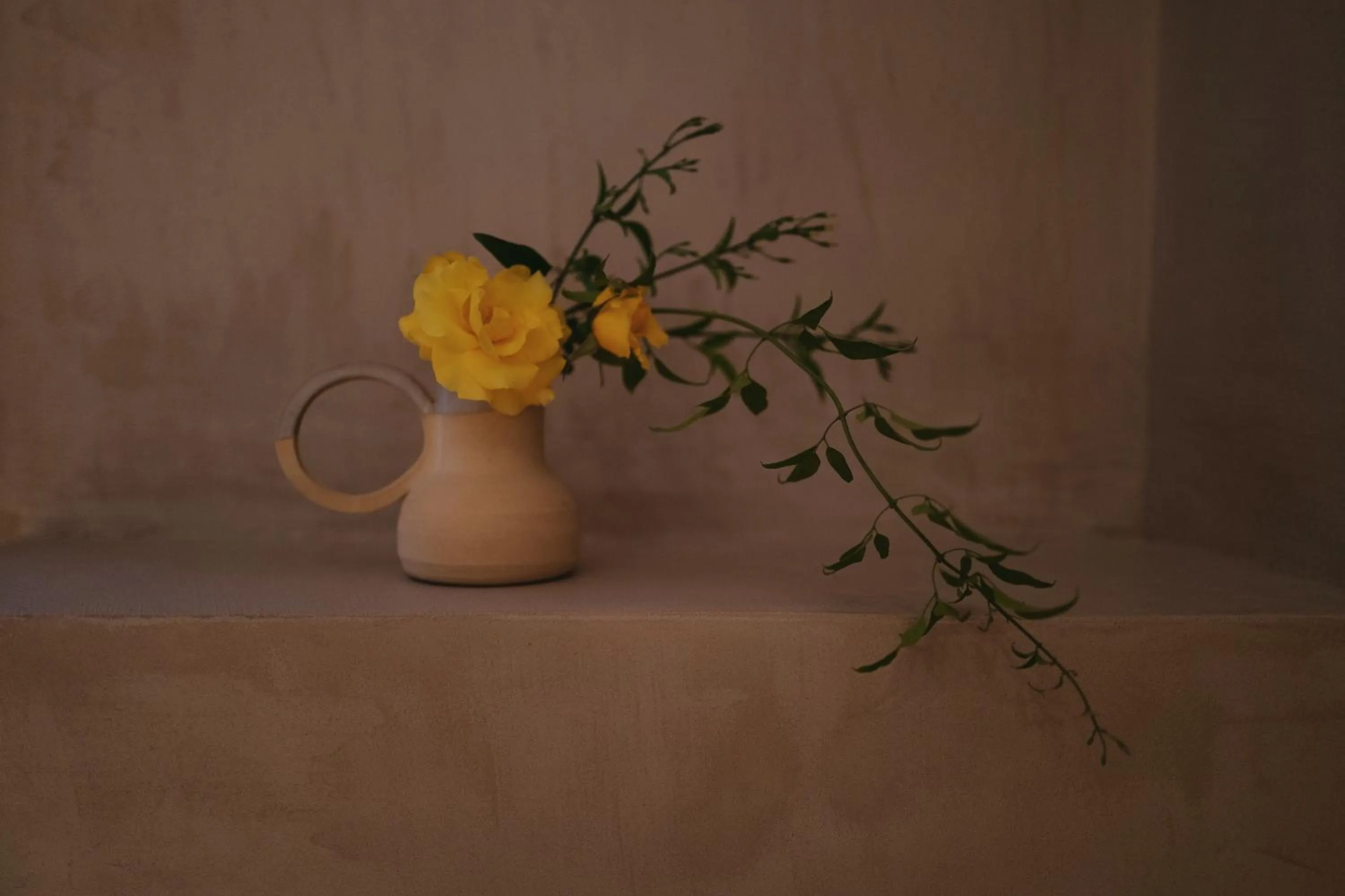 Can Arabí - Adults Only