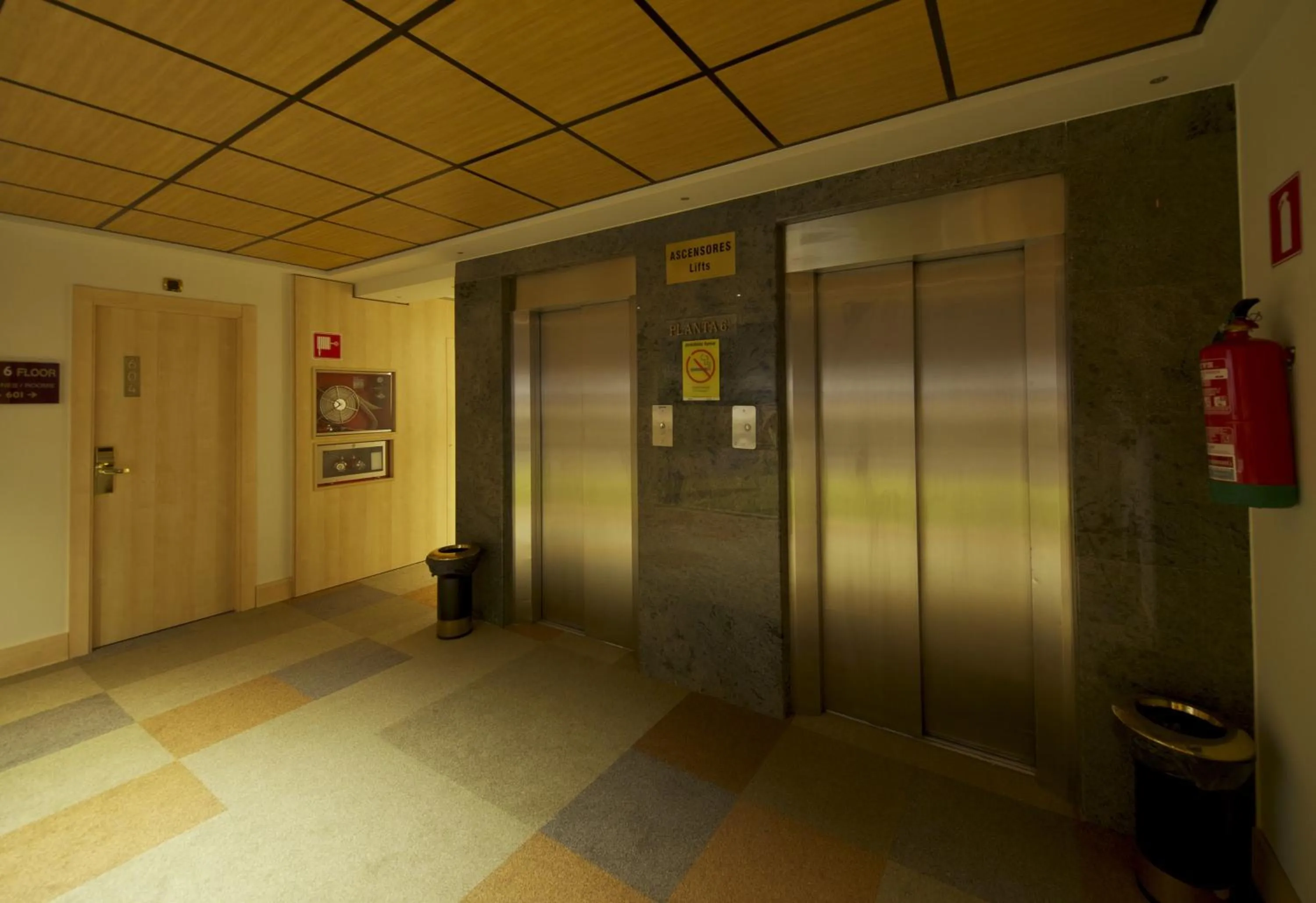 Decorative detail in Hotel Francisco II