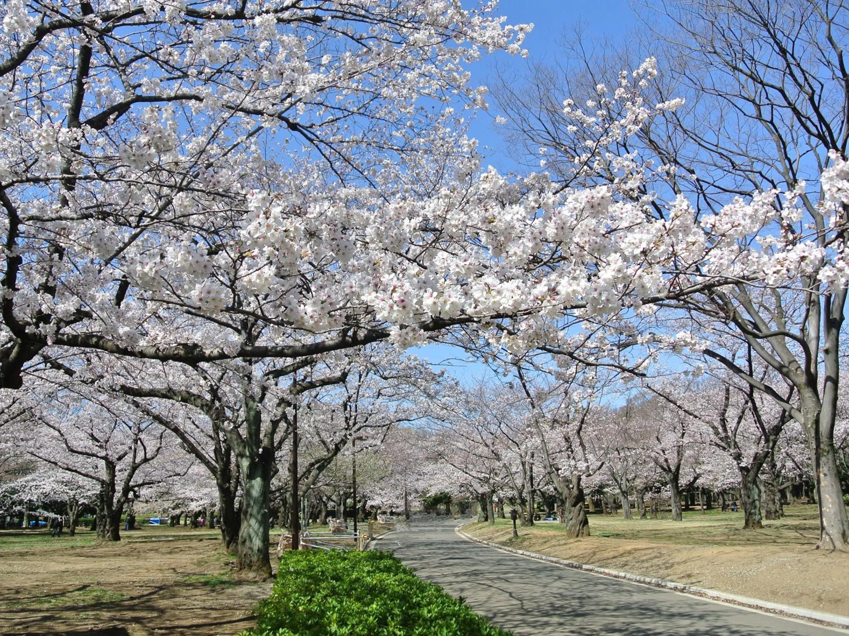 Nearby landmark in GINZA HOTEL by GRANBELL