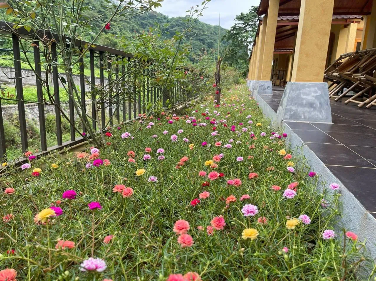 Garden view in Sky Bay Lodge