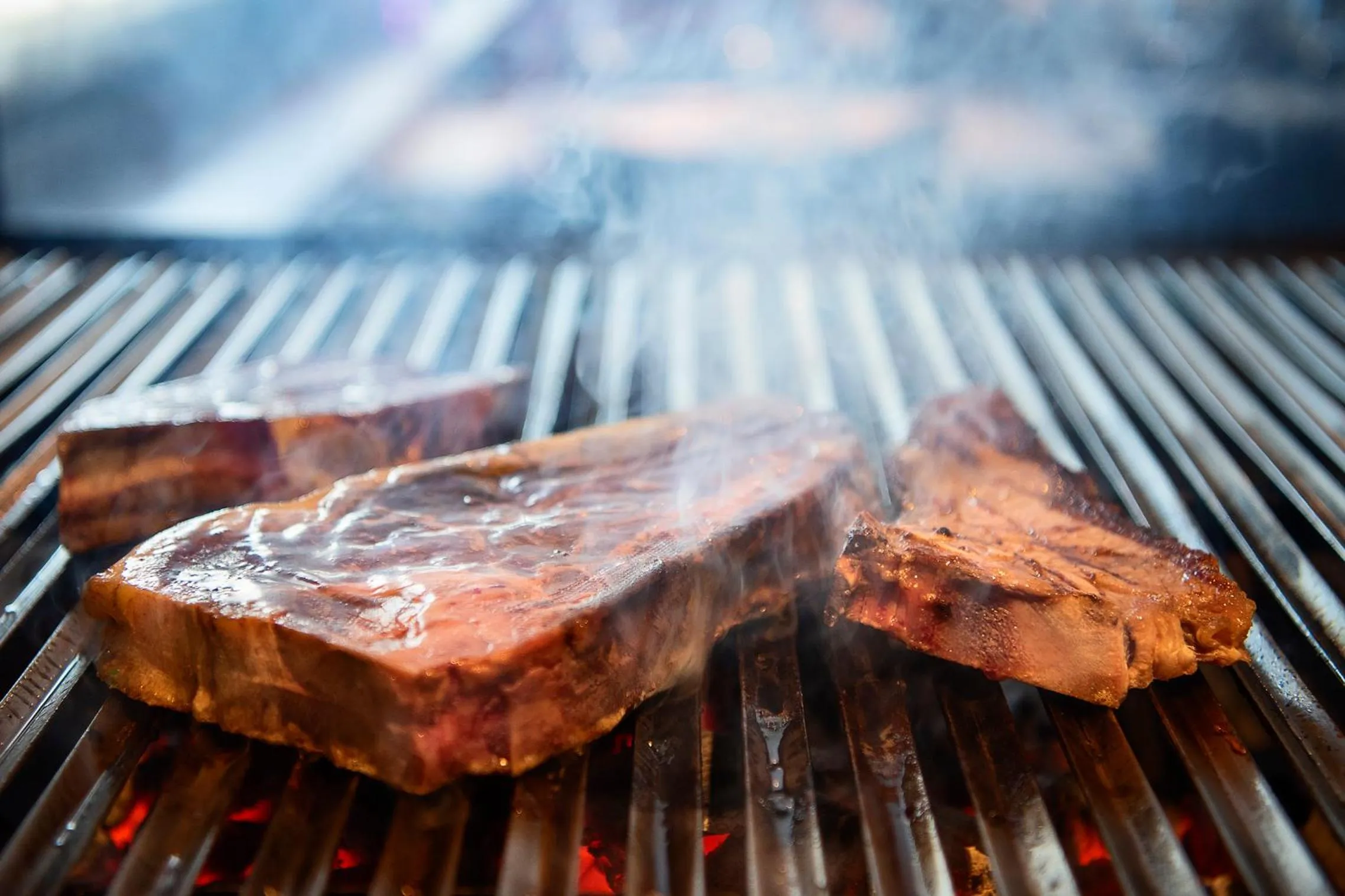 Restaurant/places to eat in Hotel Palau de Girona