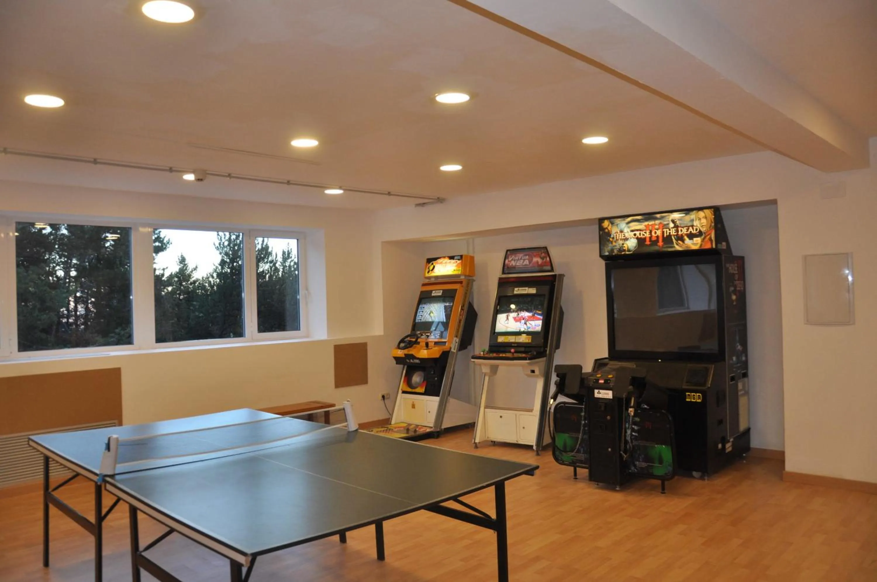 Table tennis in Alp Hotel Masella