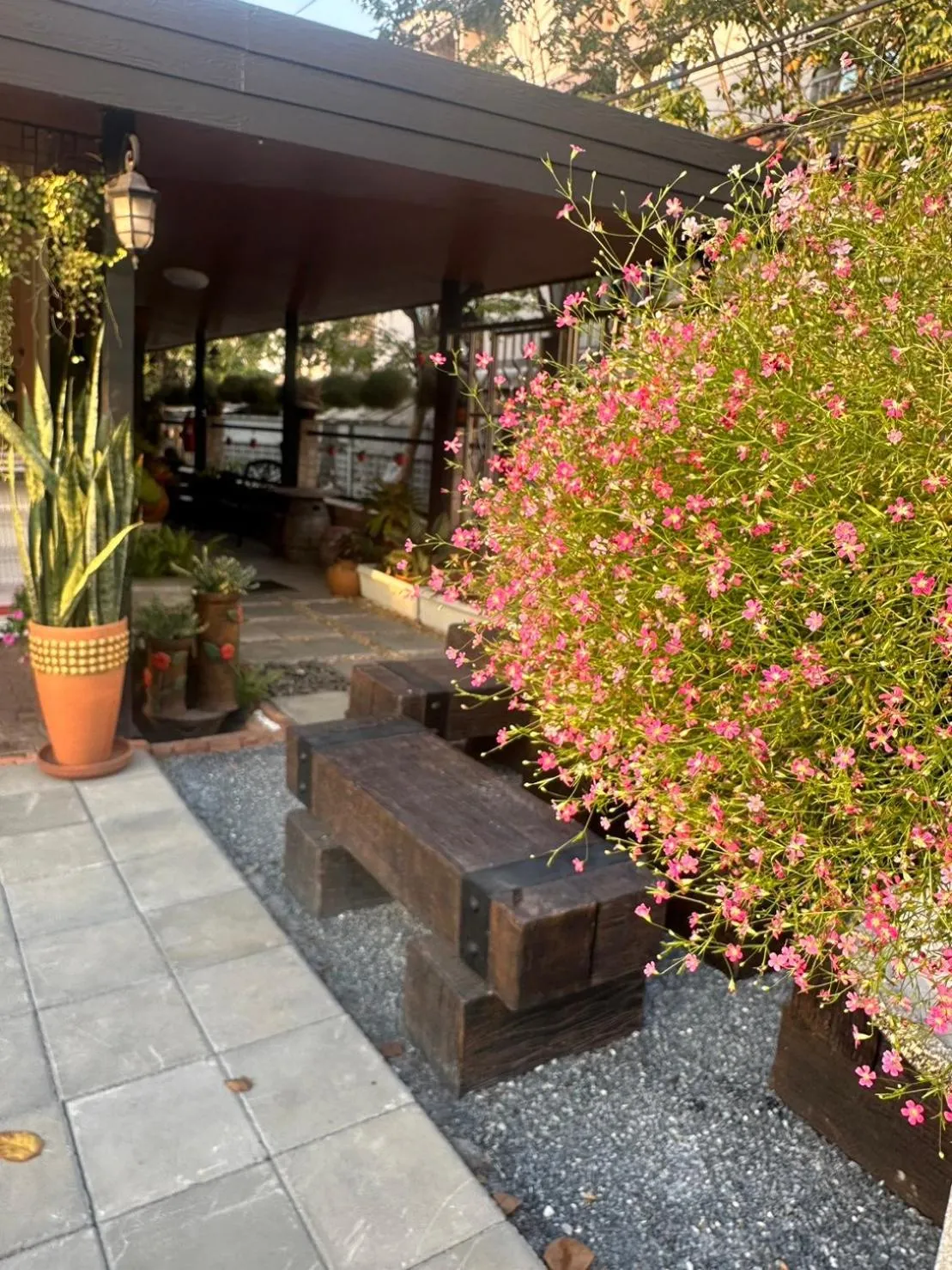 Garden in 66 Apartment