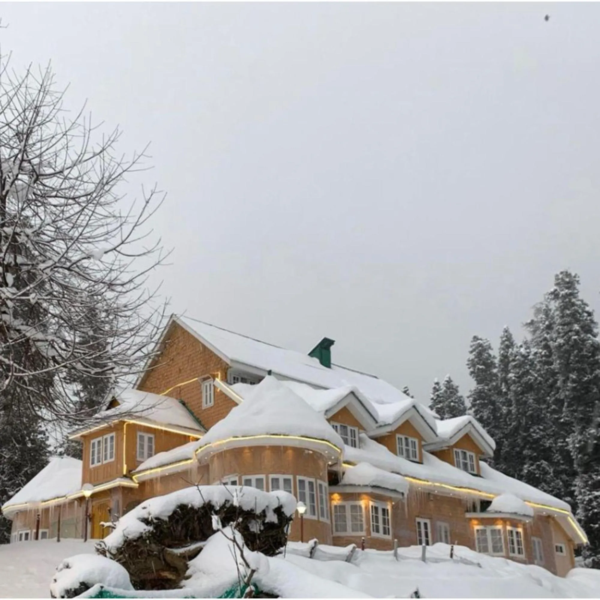 View (from property/room) in Gulmarg Ski Hill Resort