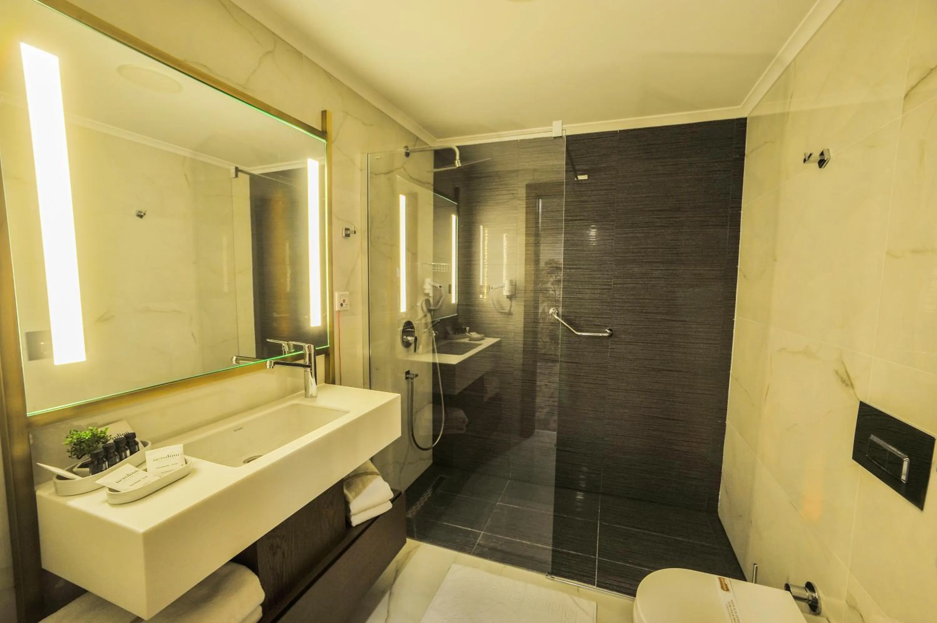 Shower in The Alpfine Hotel