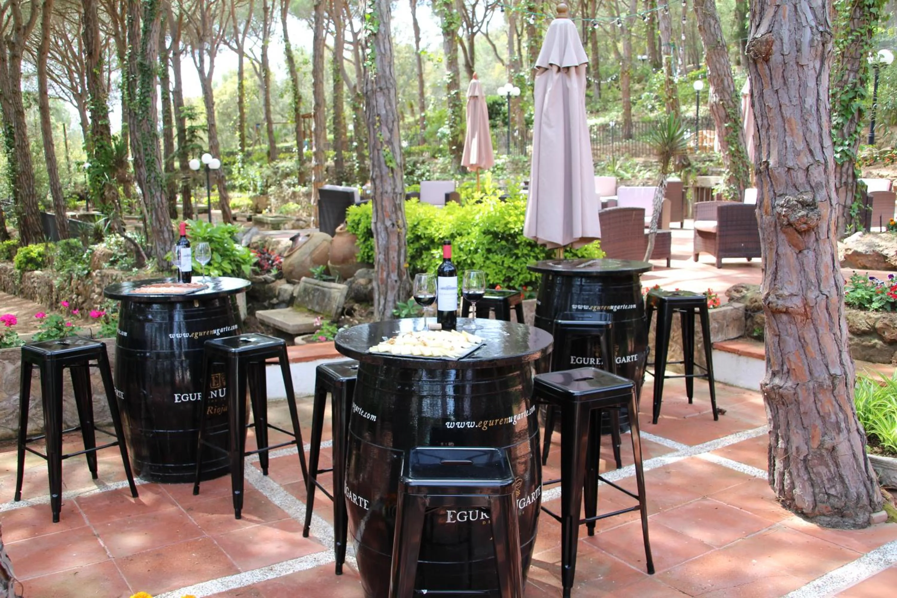 Patio in Hotel Garbi