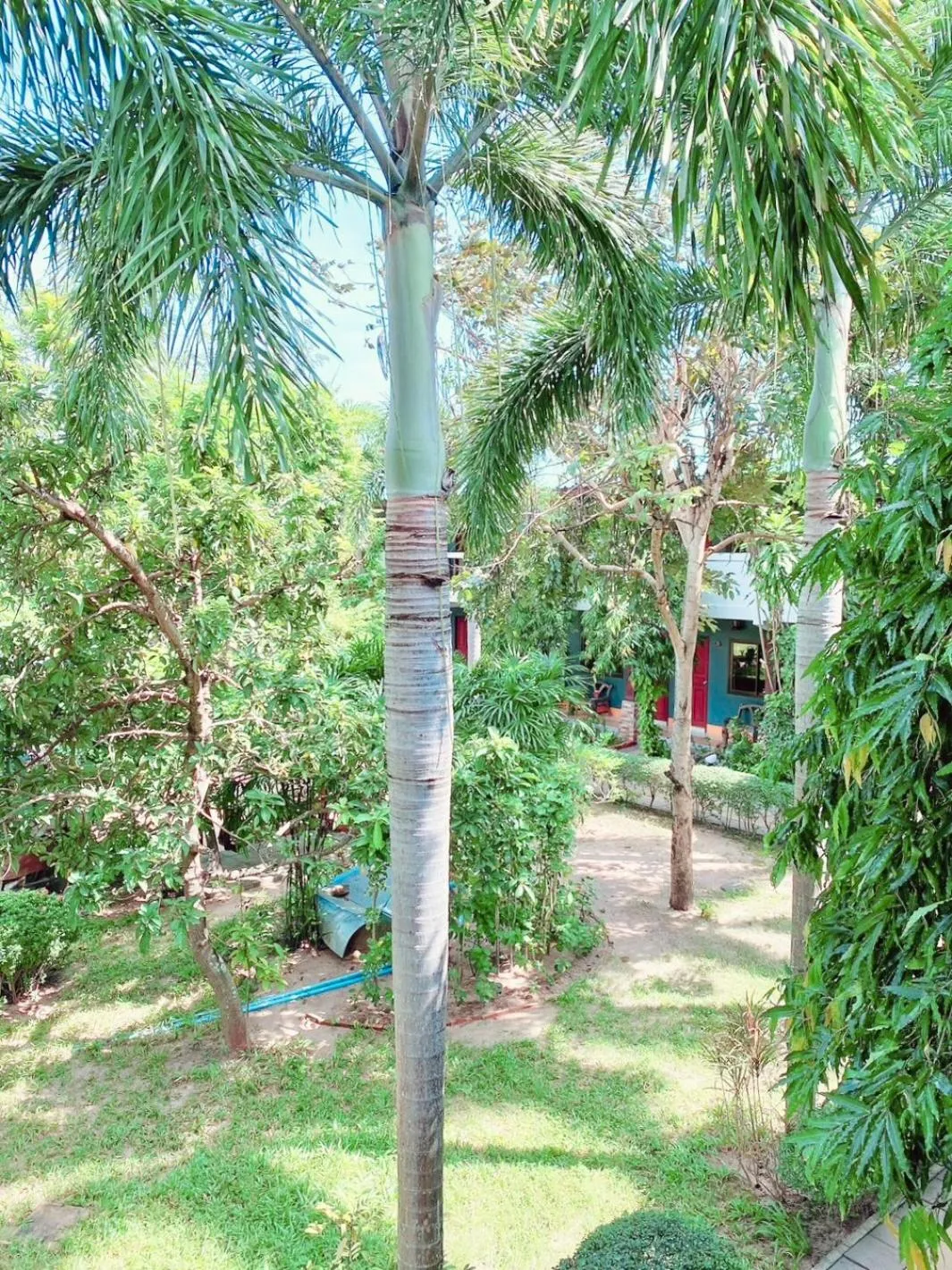 Baan Karnjana Hotel Samui