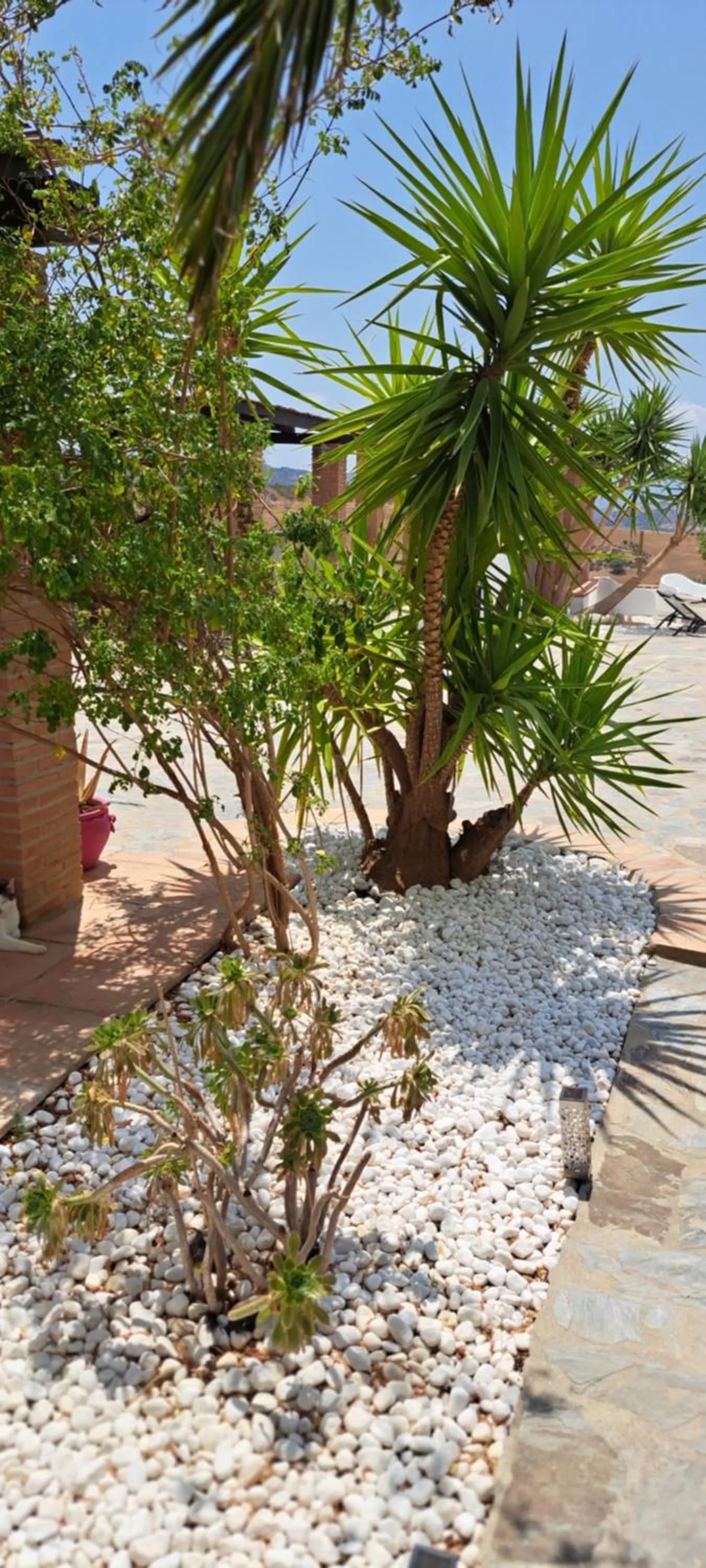 Property building in B&B Casa Loré D'or