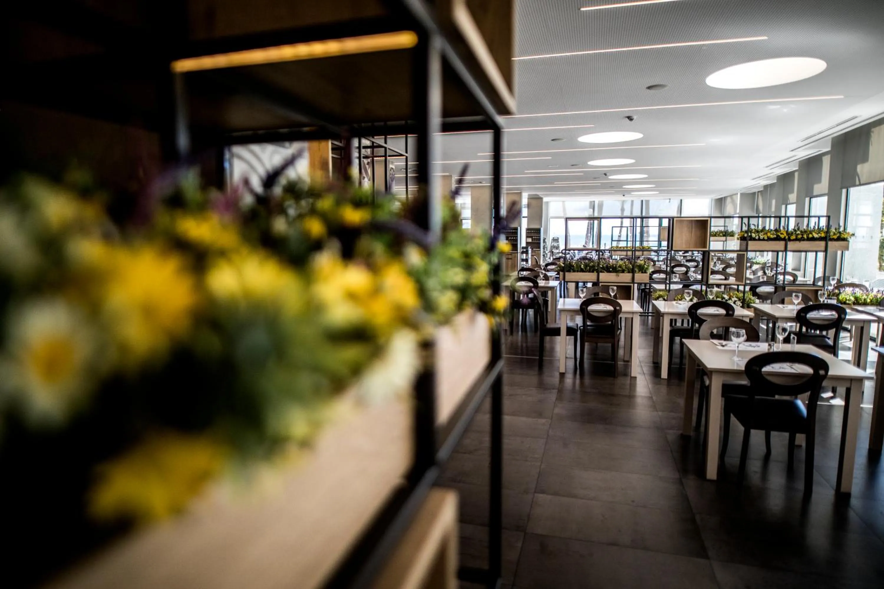 Lounge or bar in Hotel Cap Negret