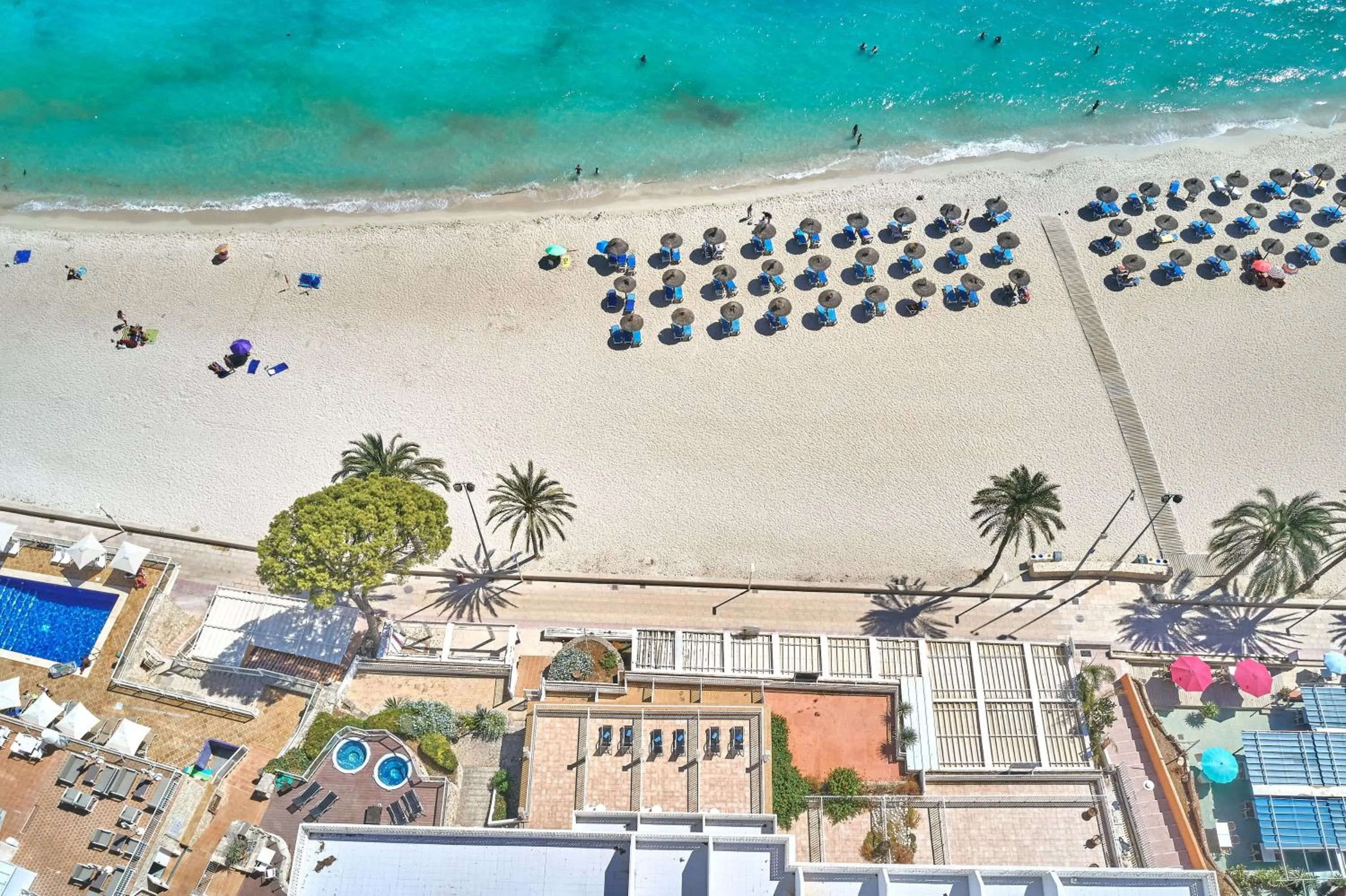 Beach in Flamboyan Caribe Hotel & Spa