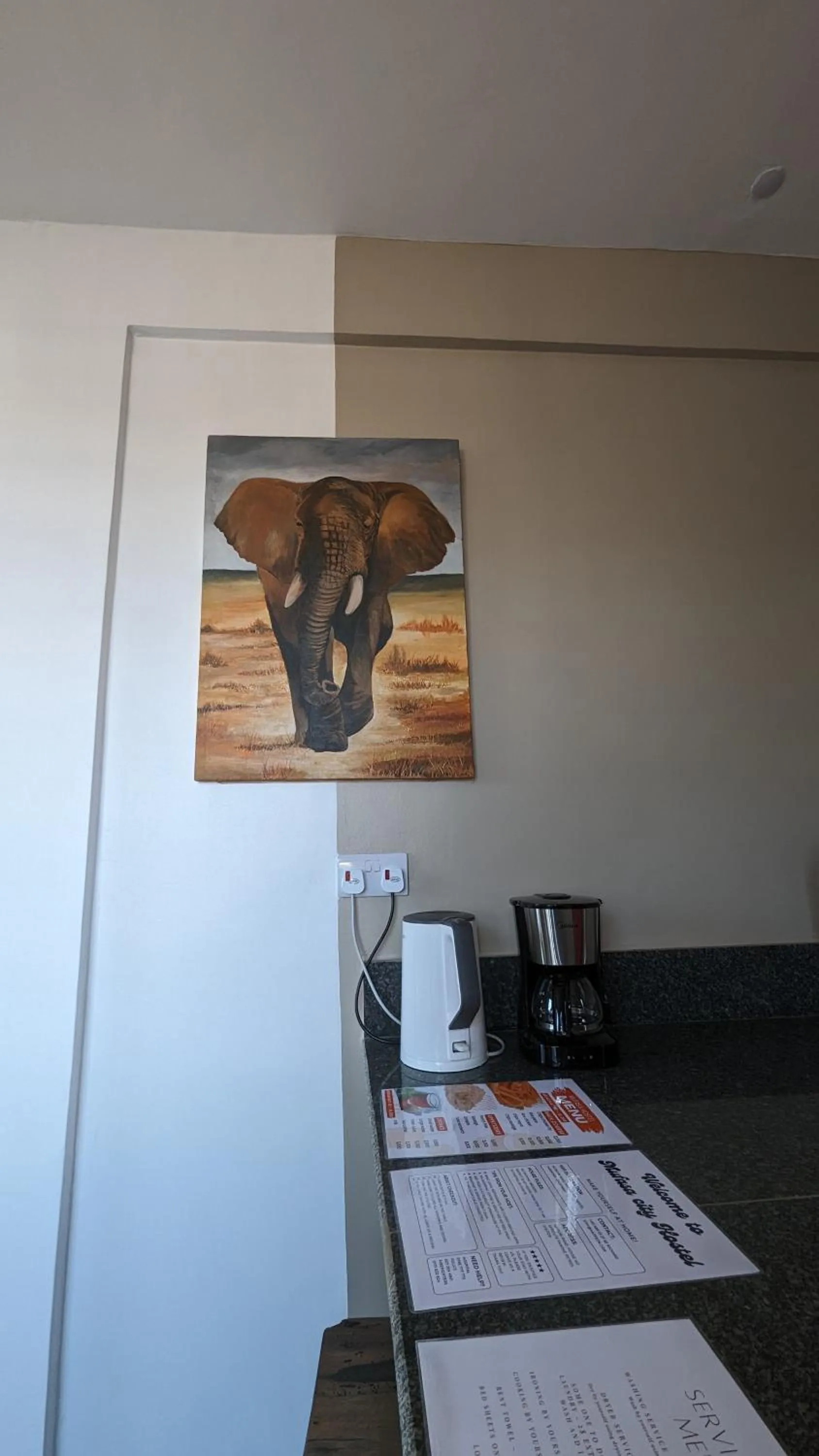 Decorative detail in Mufasa city Hostel and Apartments