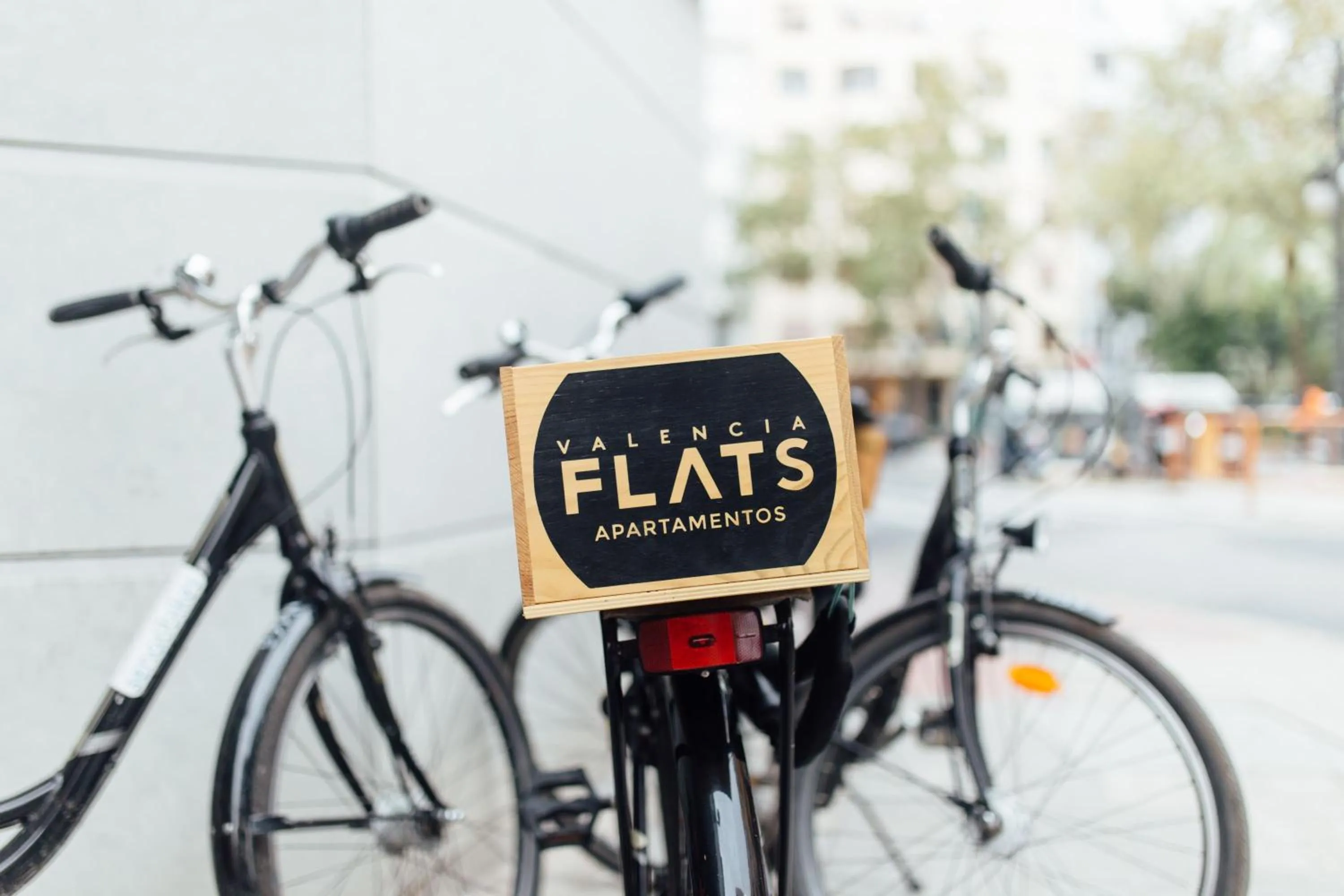 Activities in Rooms Ciencias