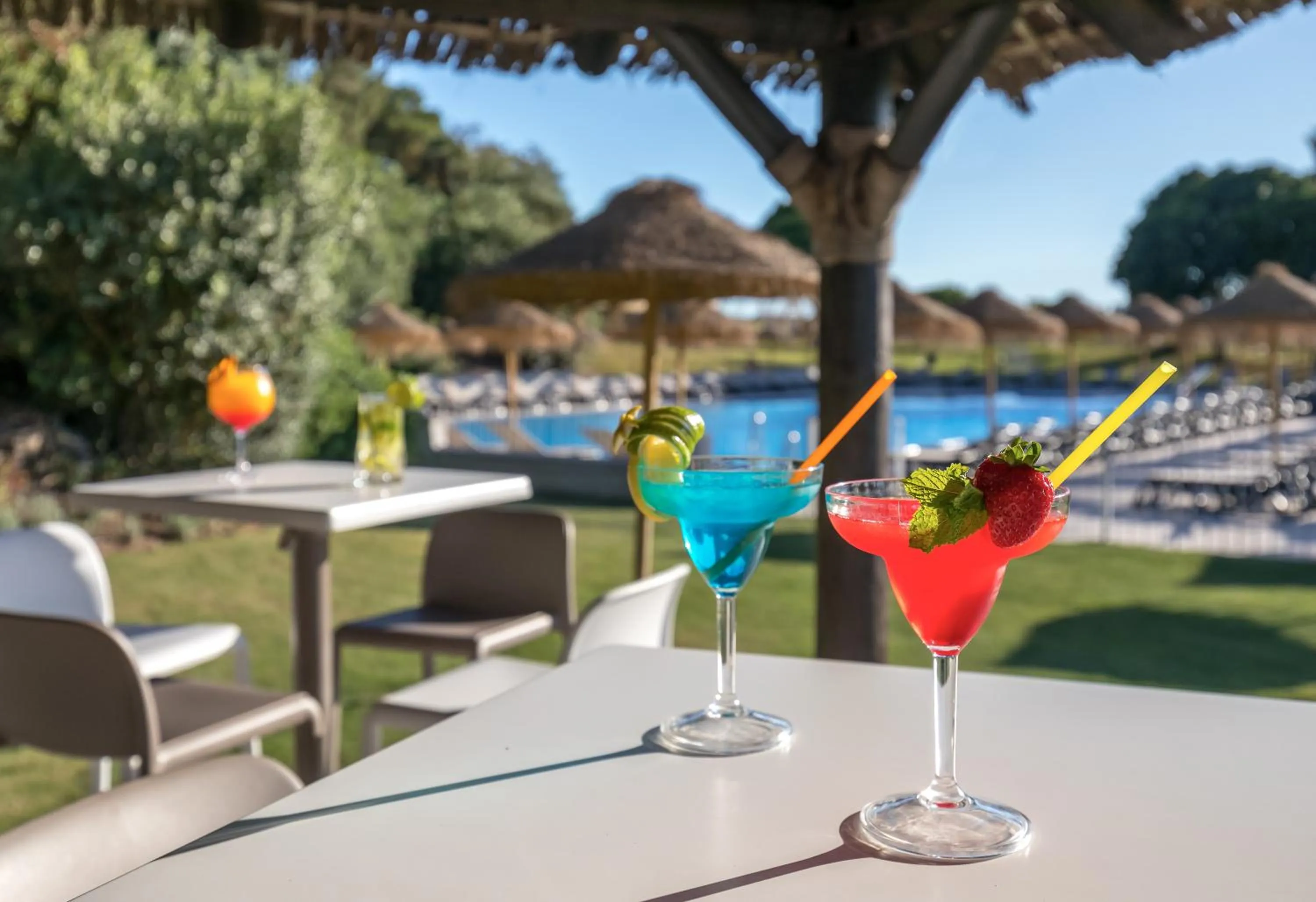 Garden in Barceló Montecastillo Golf