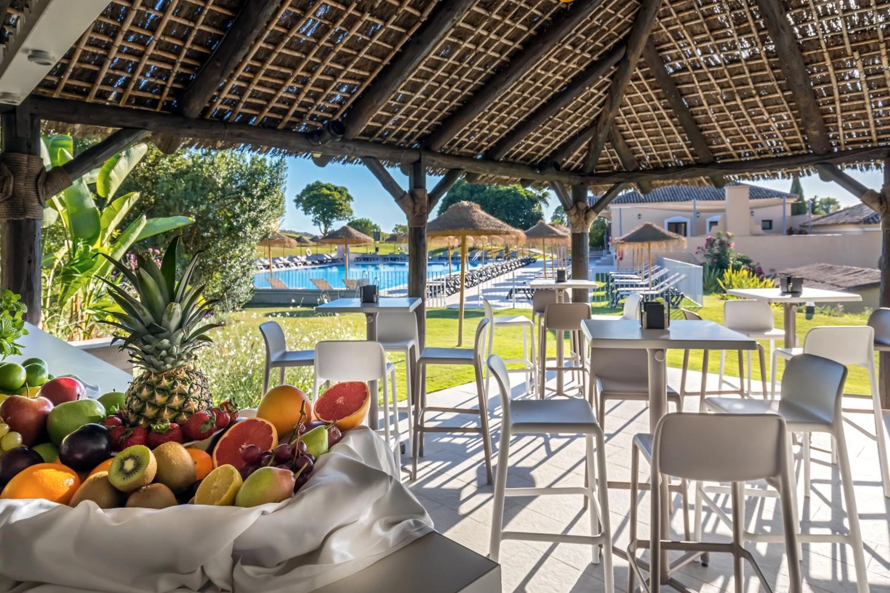 Garden in Barceló Montecastillo Golf