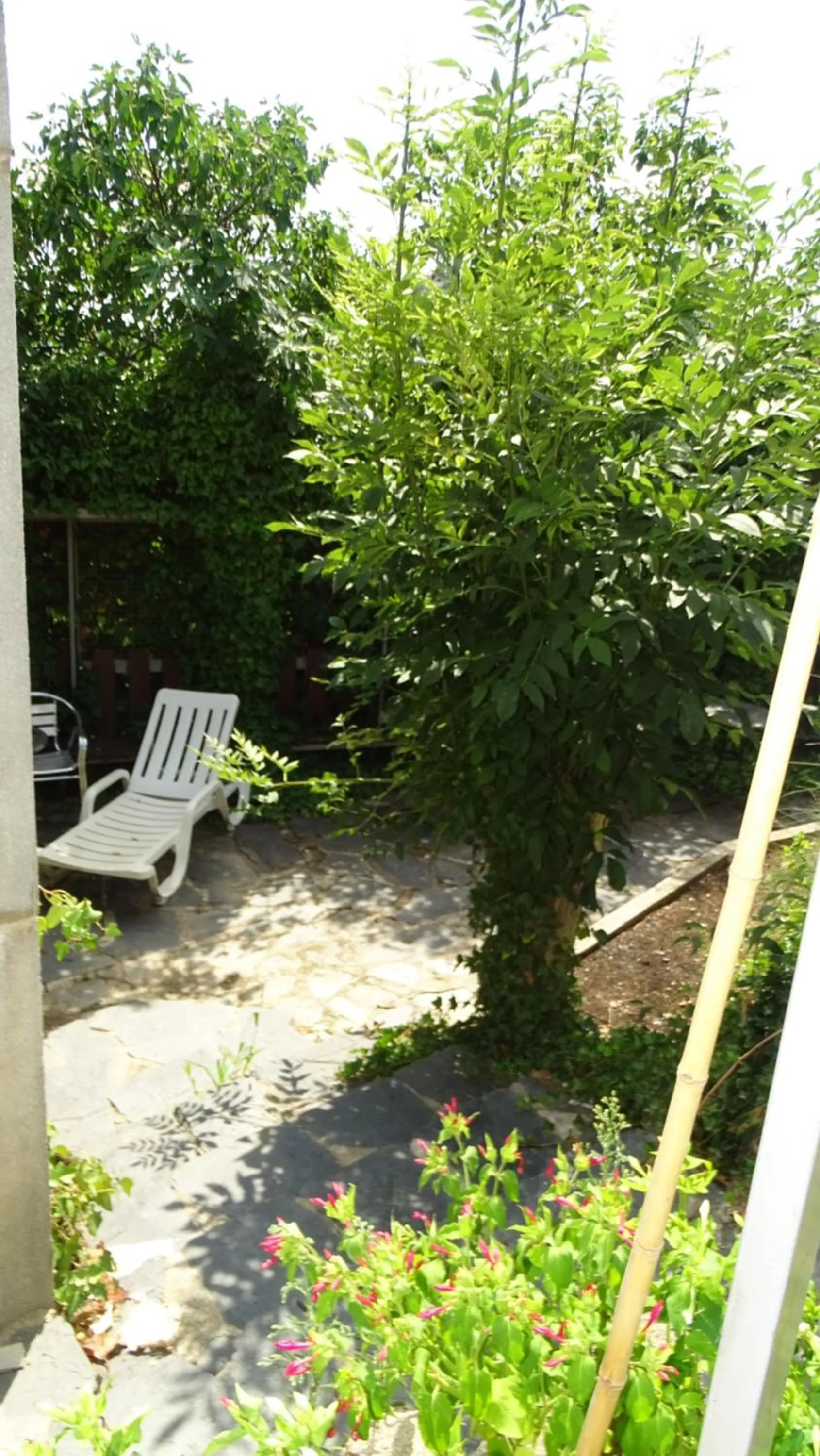 Hotel Restaurante La Glorieta