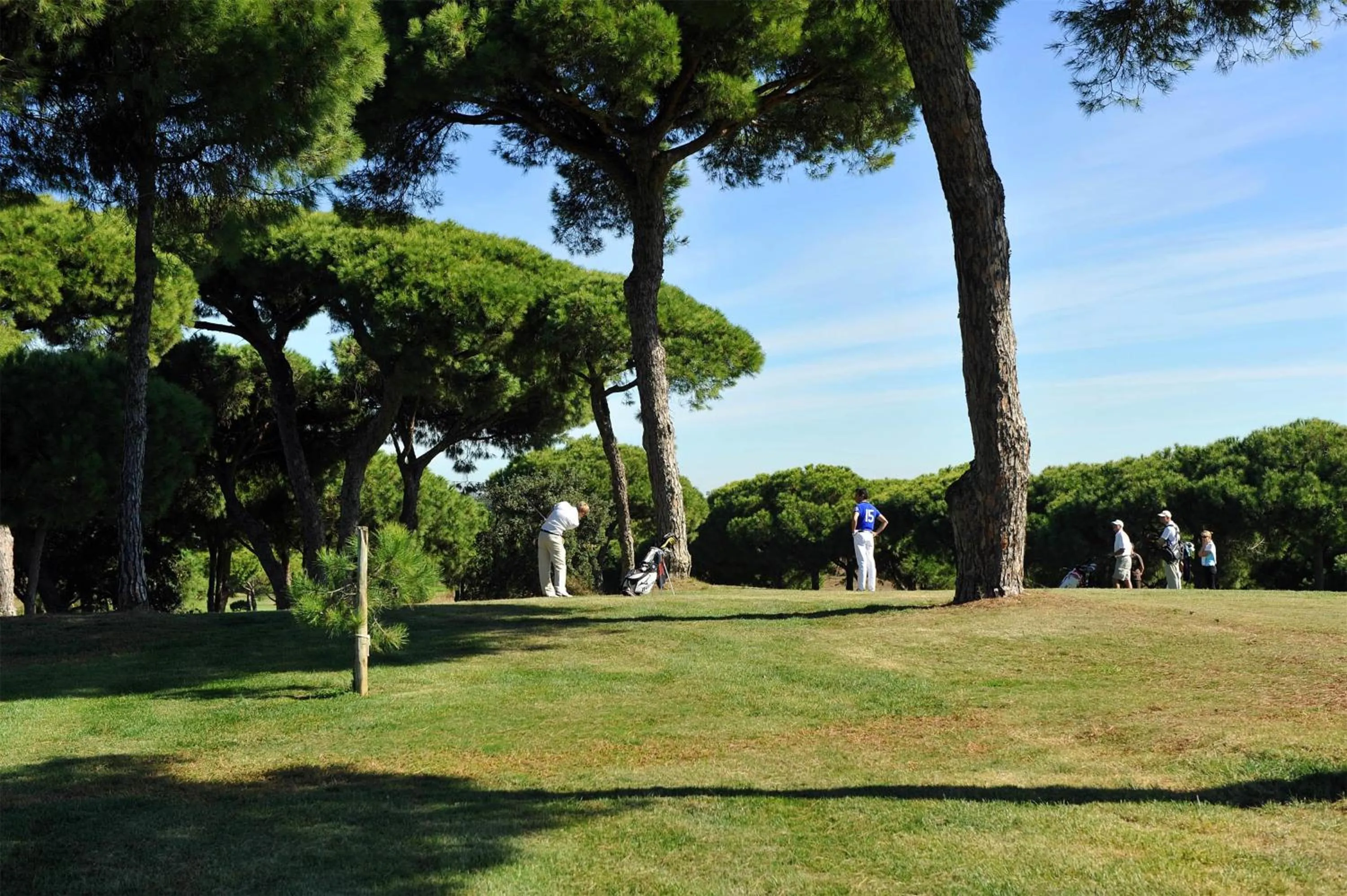 Golfcourse in Barceló Isla Canela
