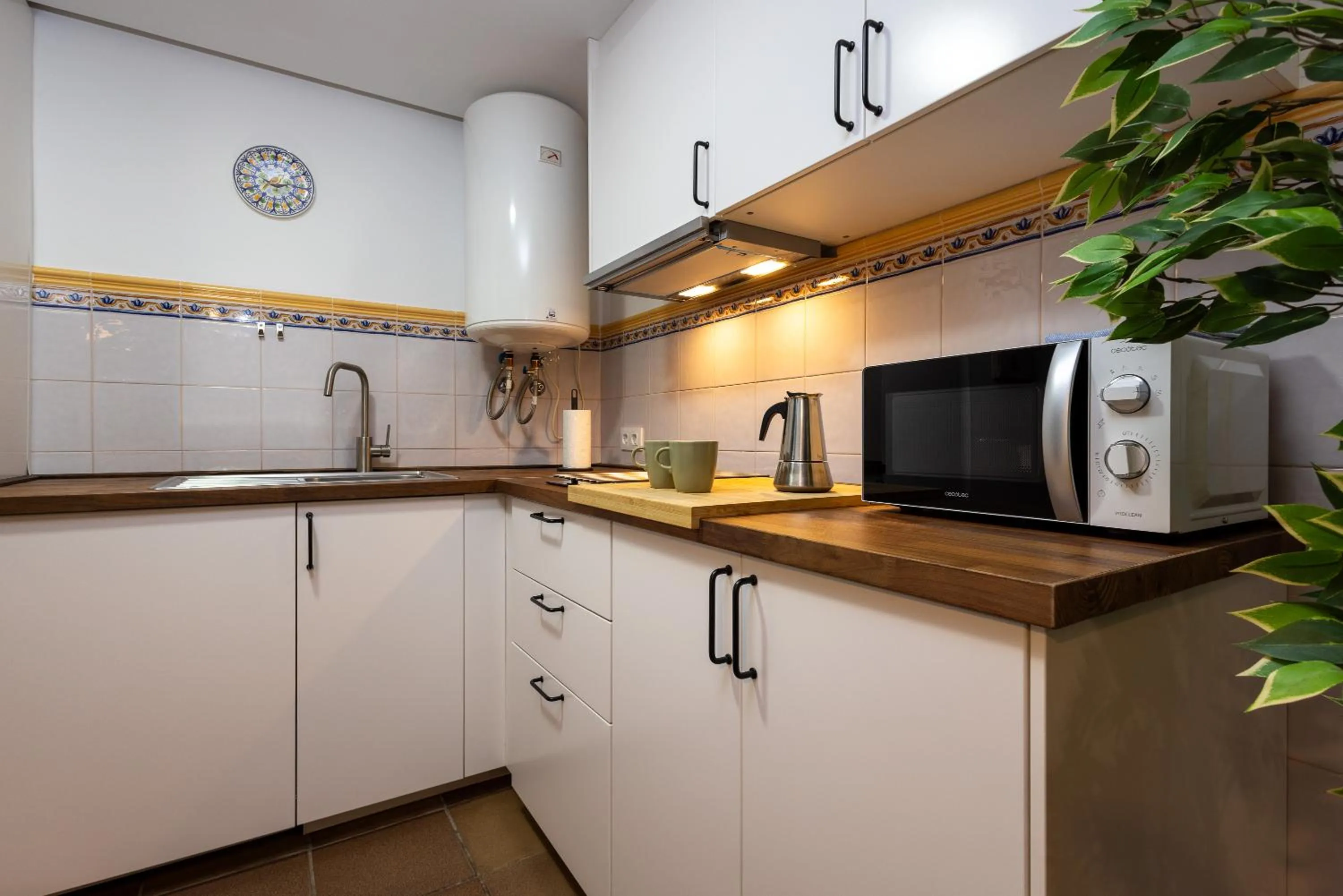 Casa Palacio de los Leones