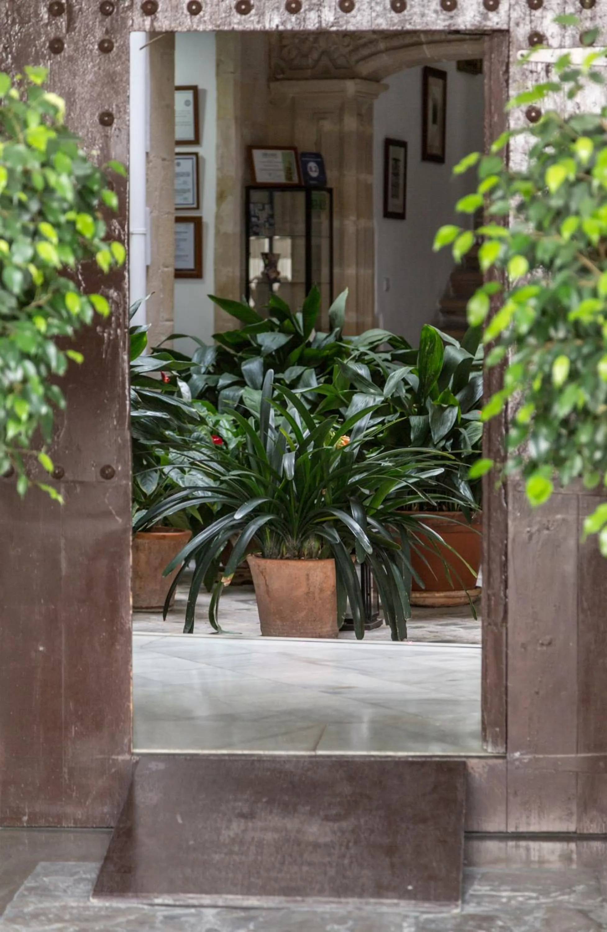 Area and facilities in Casa Palacio de los Leones