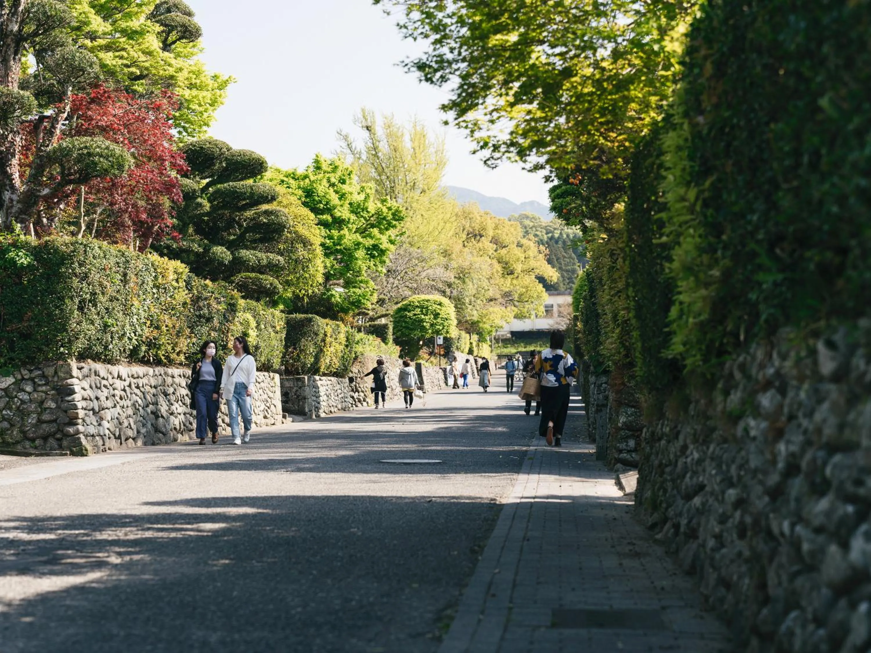 Other in RITA Izumifumoto