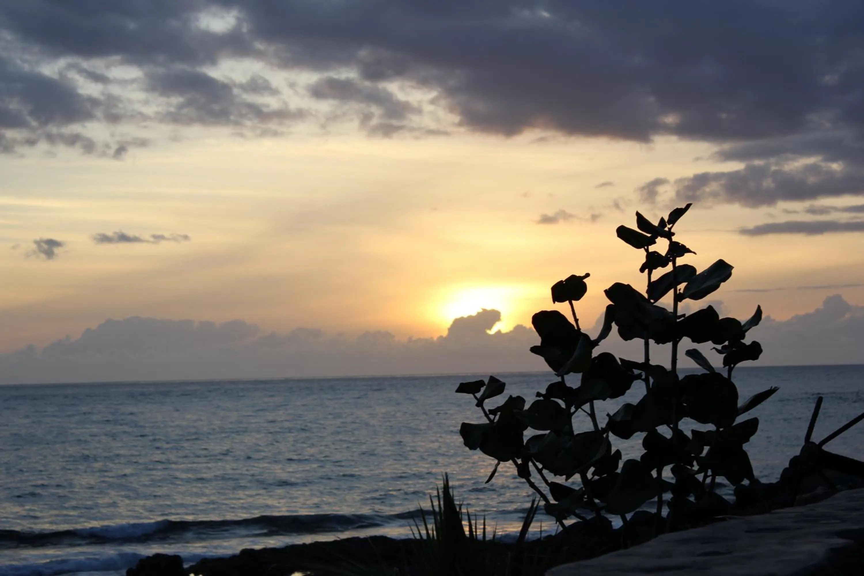 Natural landscape in Hotel Benahoare