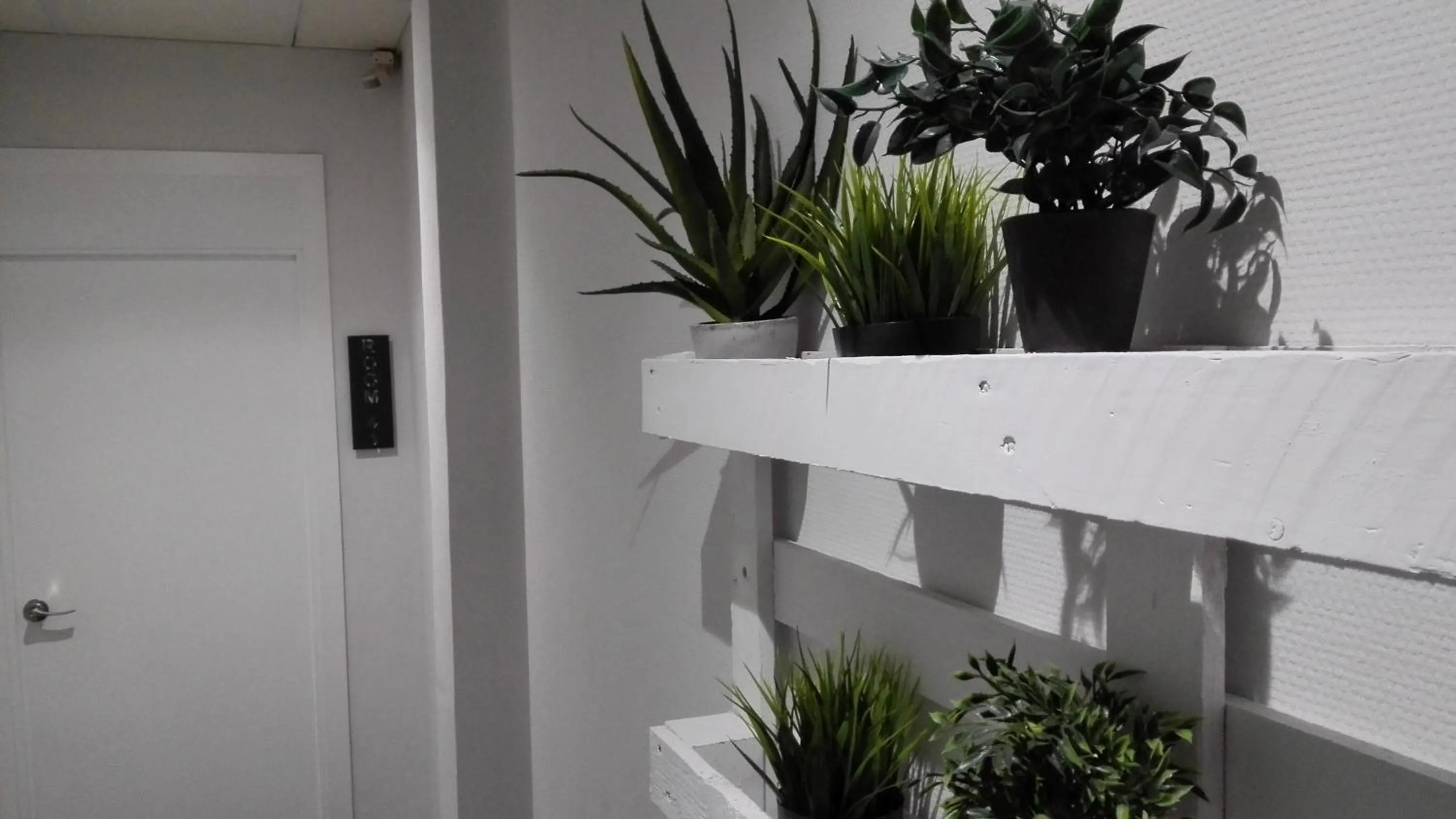 Decorative detail in Hostal Lauria