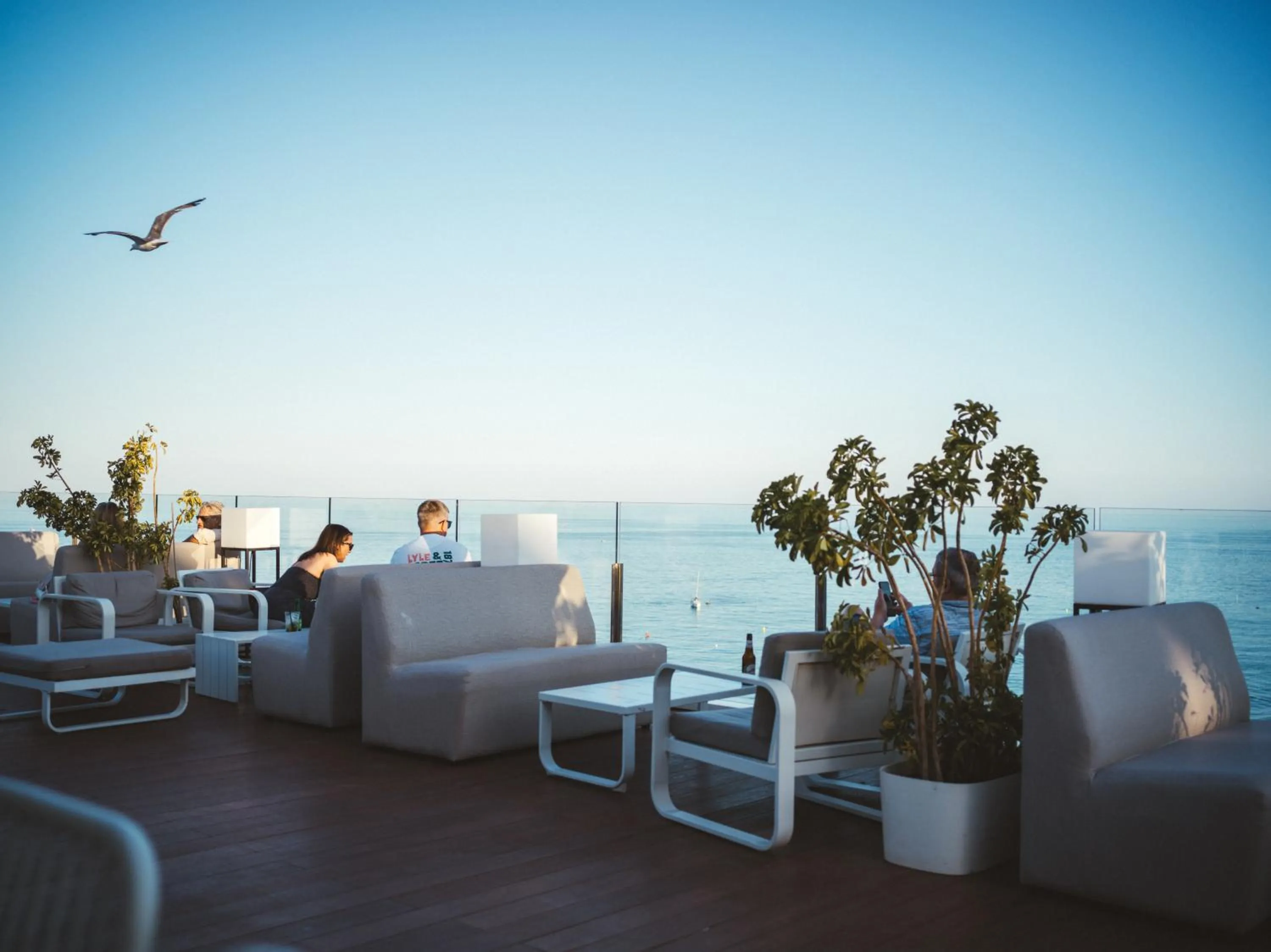 Lounge or bar in La Barracuda