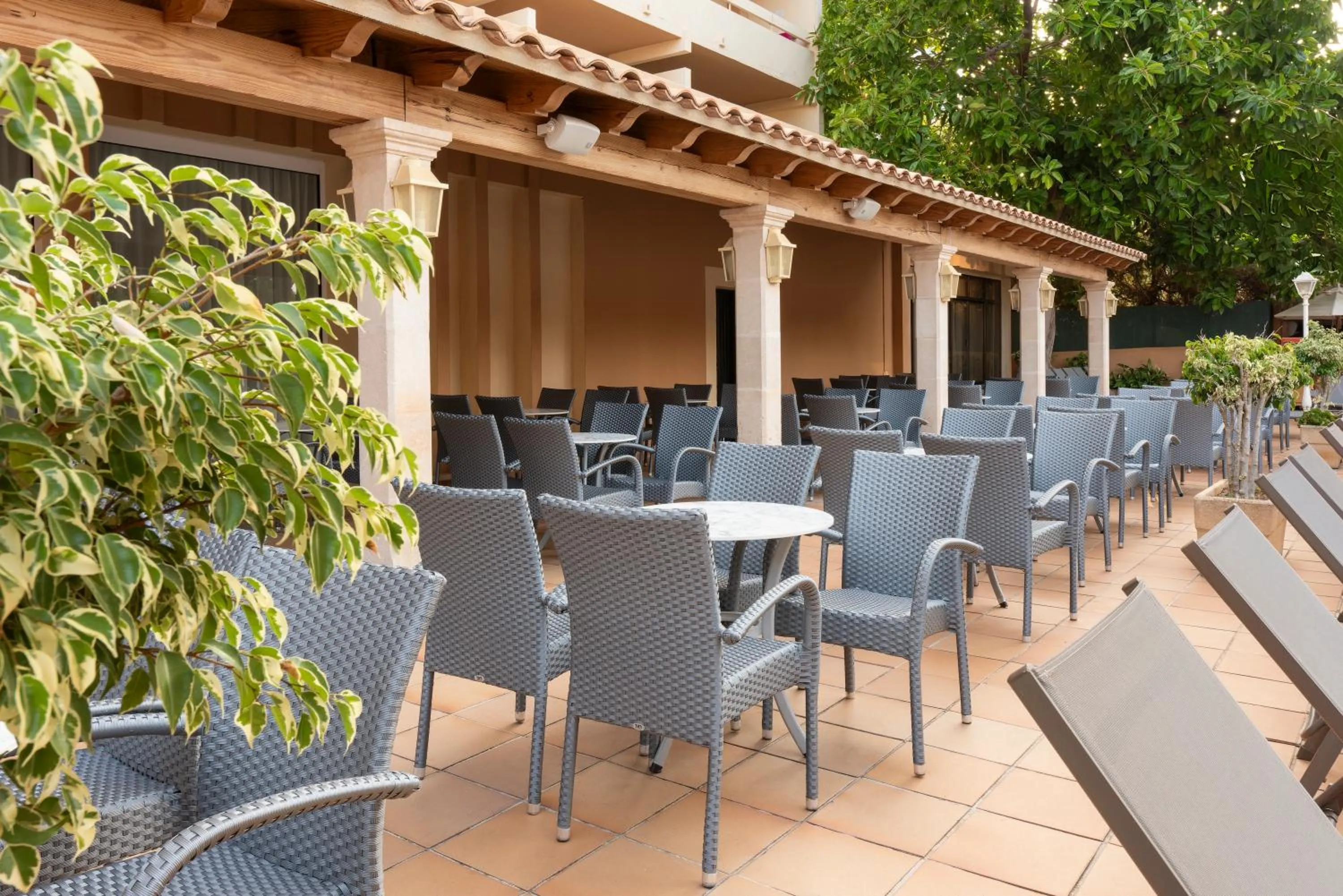 Restaurant/places to eat in Valentin Reina Paguera - Adults Only