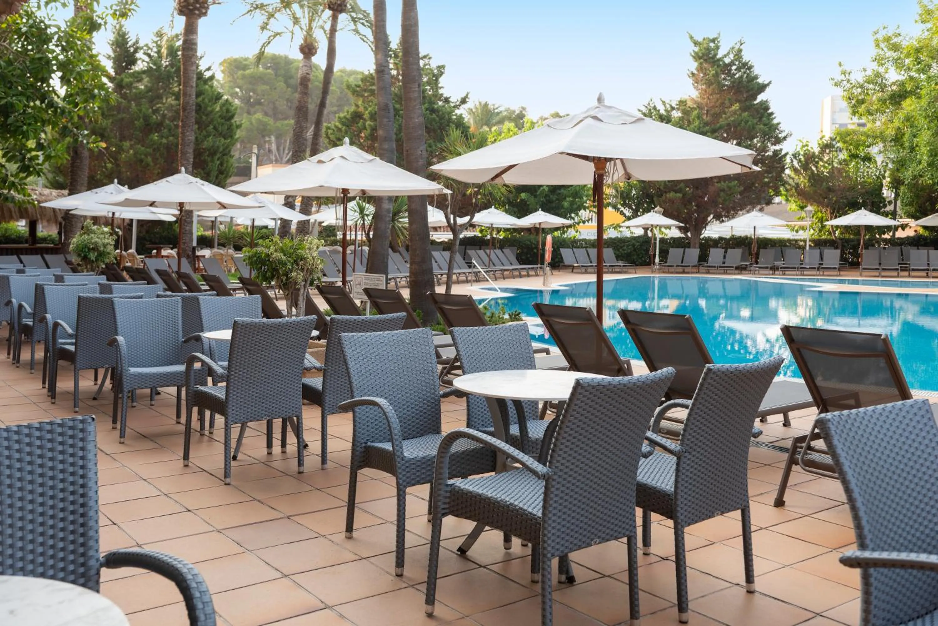 Restaurant/places to eat in Valentin Reina Paguera - Adults Only