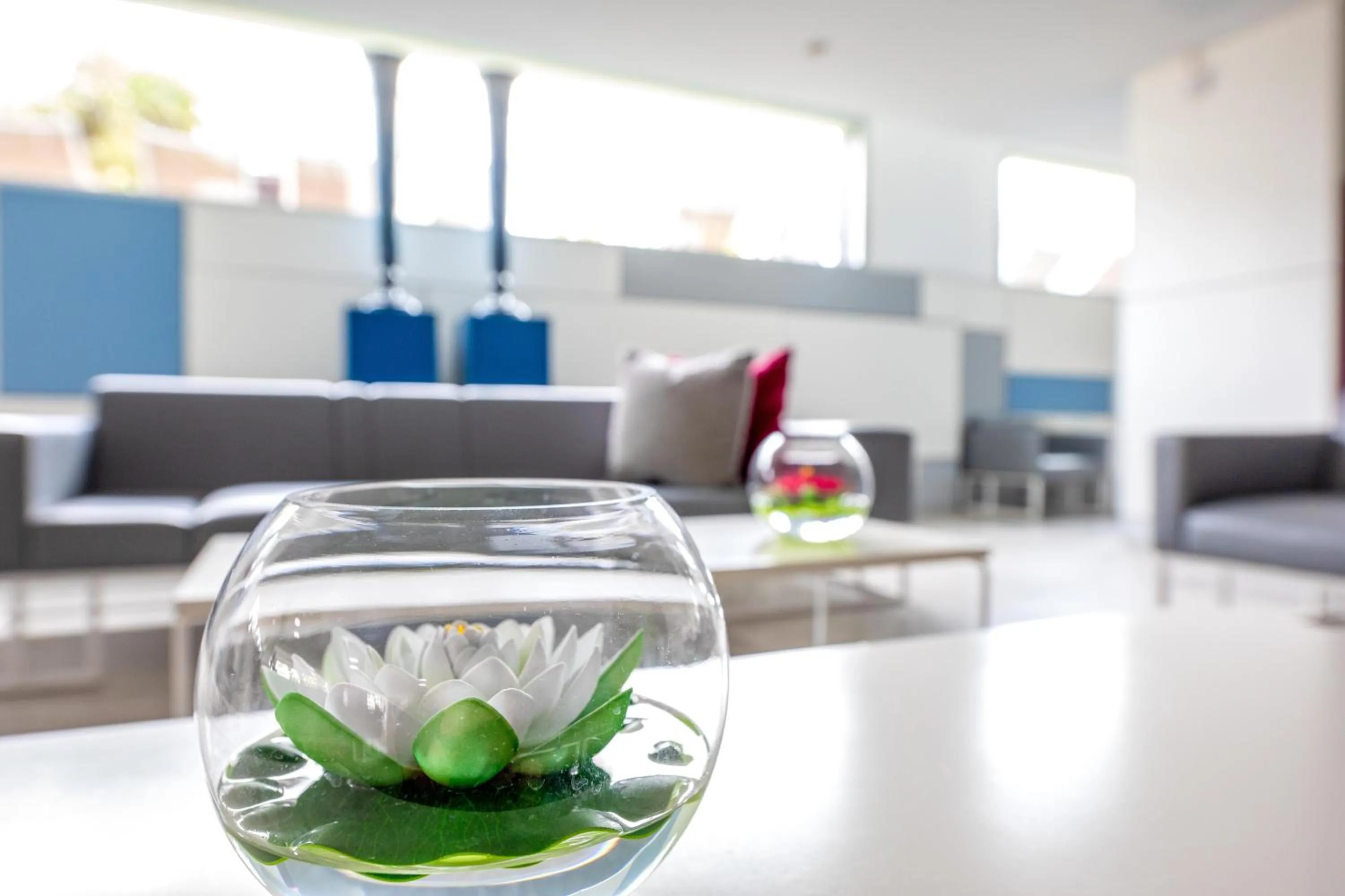 Lobby or reception in Labranda Marieta & Spa - Adults Only