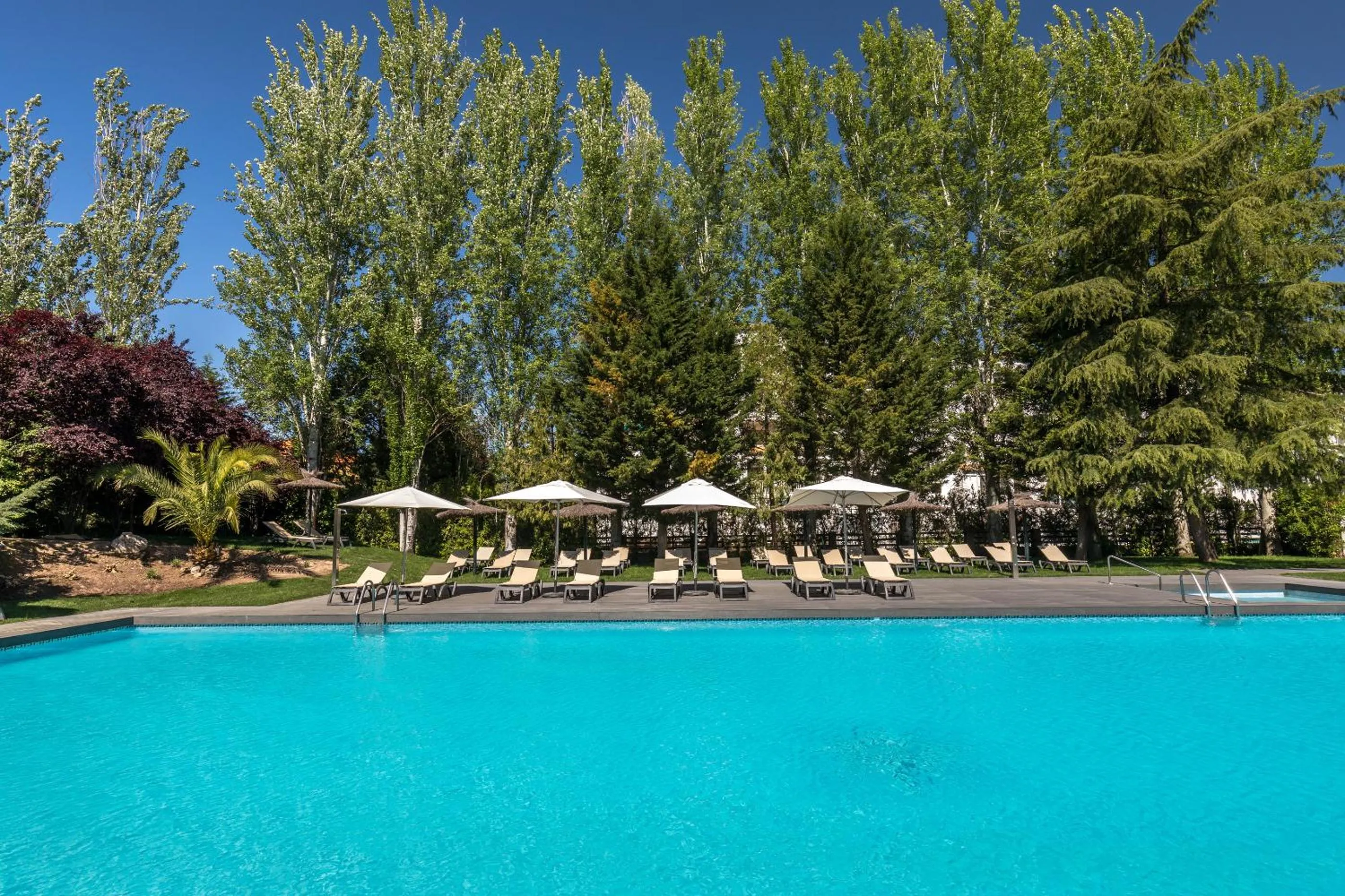 Swimming pool in Barceló Cáceres V Centenario