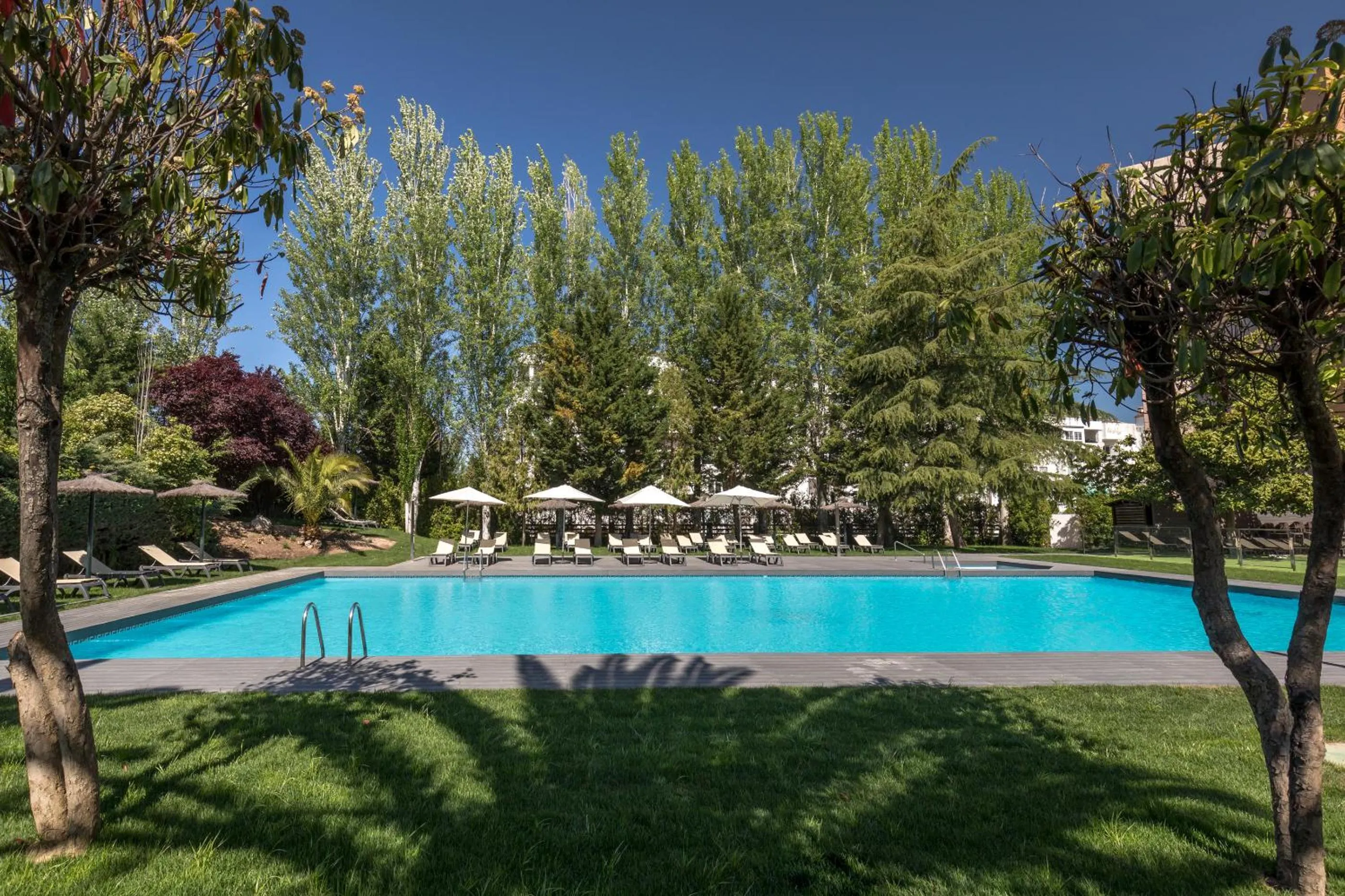 Swimming pool in Barceló Cáceres V Centenario