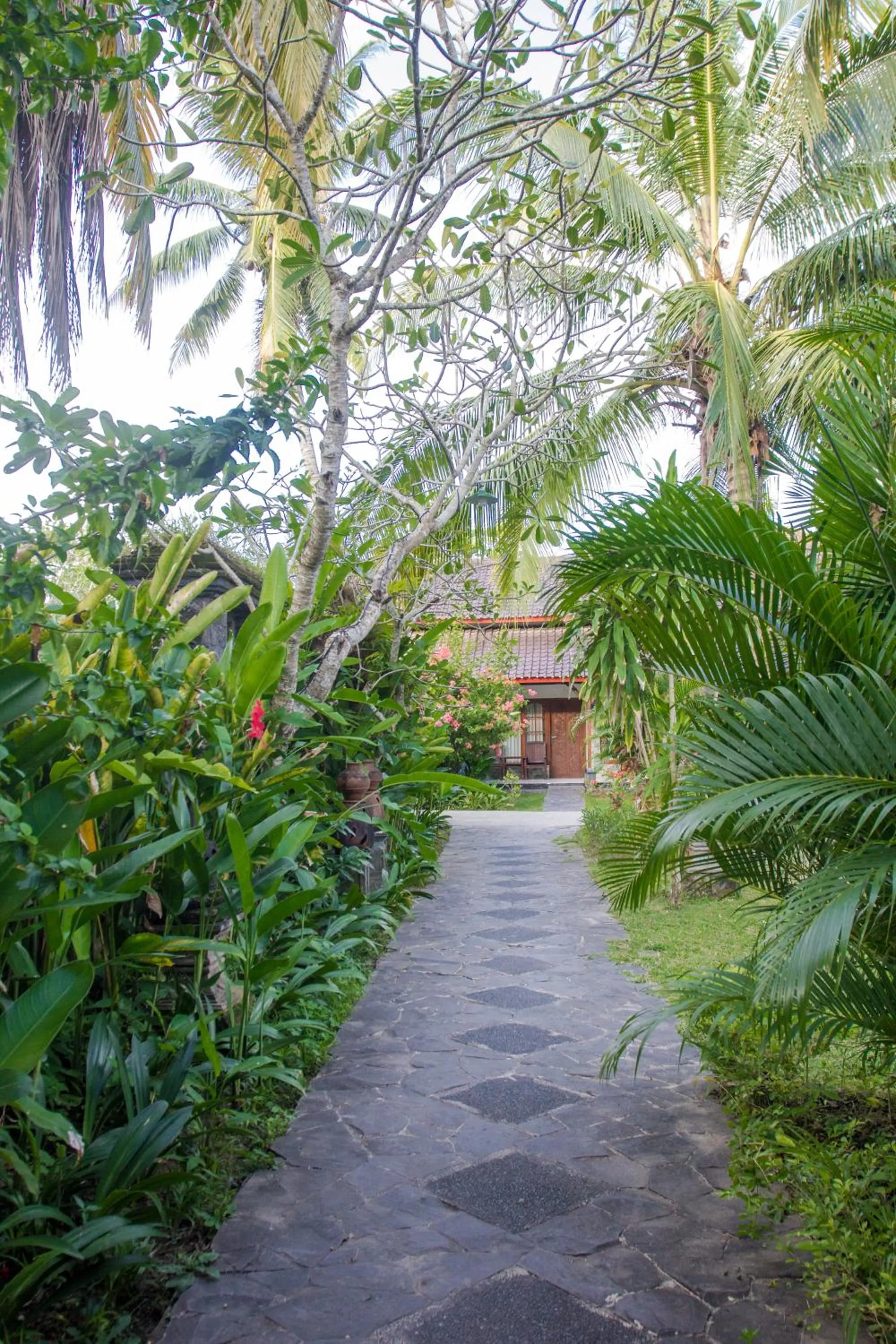 Garden in Matahari Inn Kuta Lombok