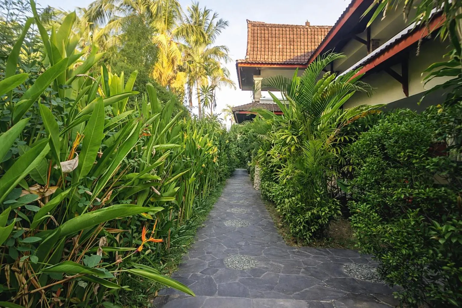 Day in Matahari Inn Kuta Lombok