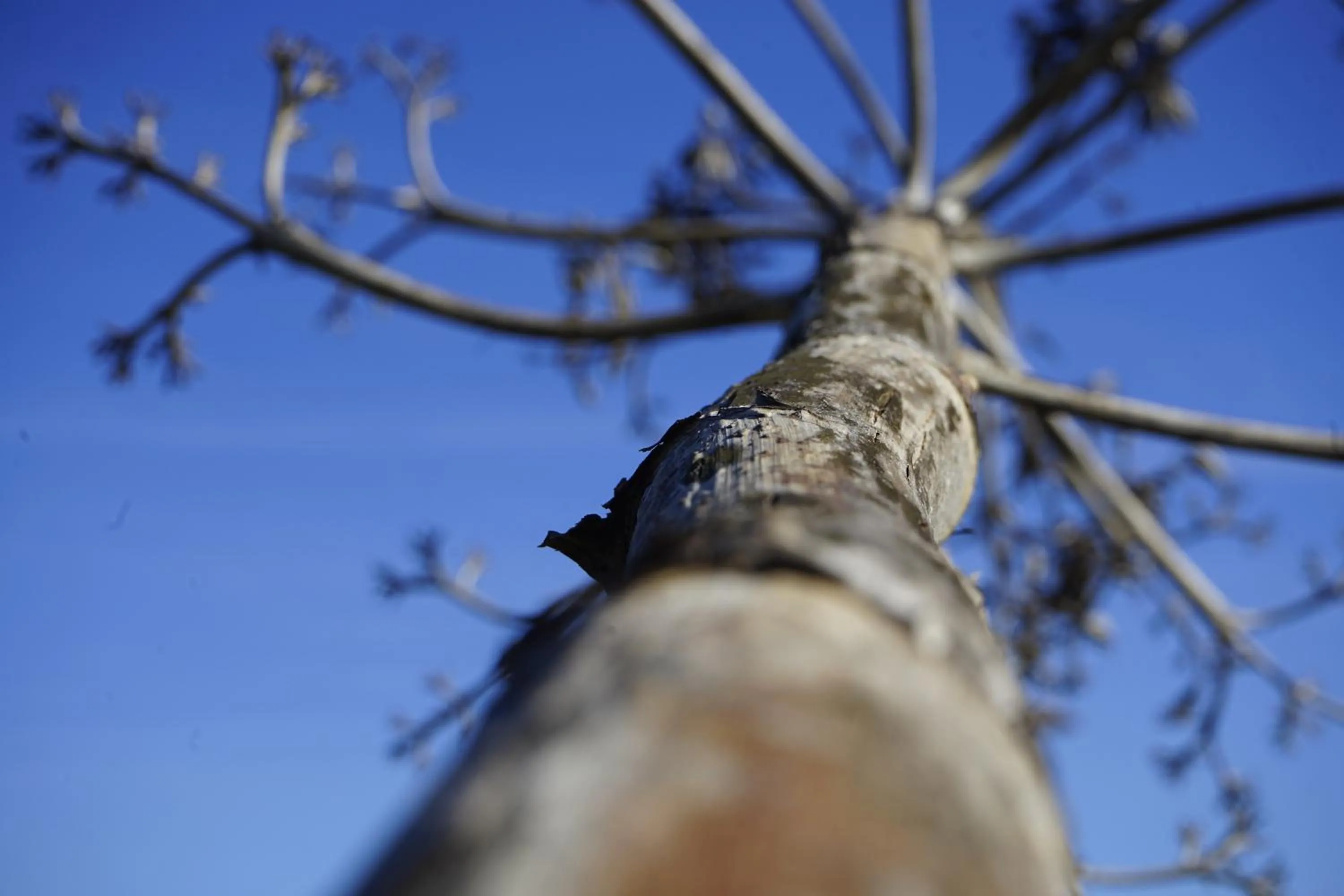 Alcaidesa Boutique Hotel