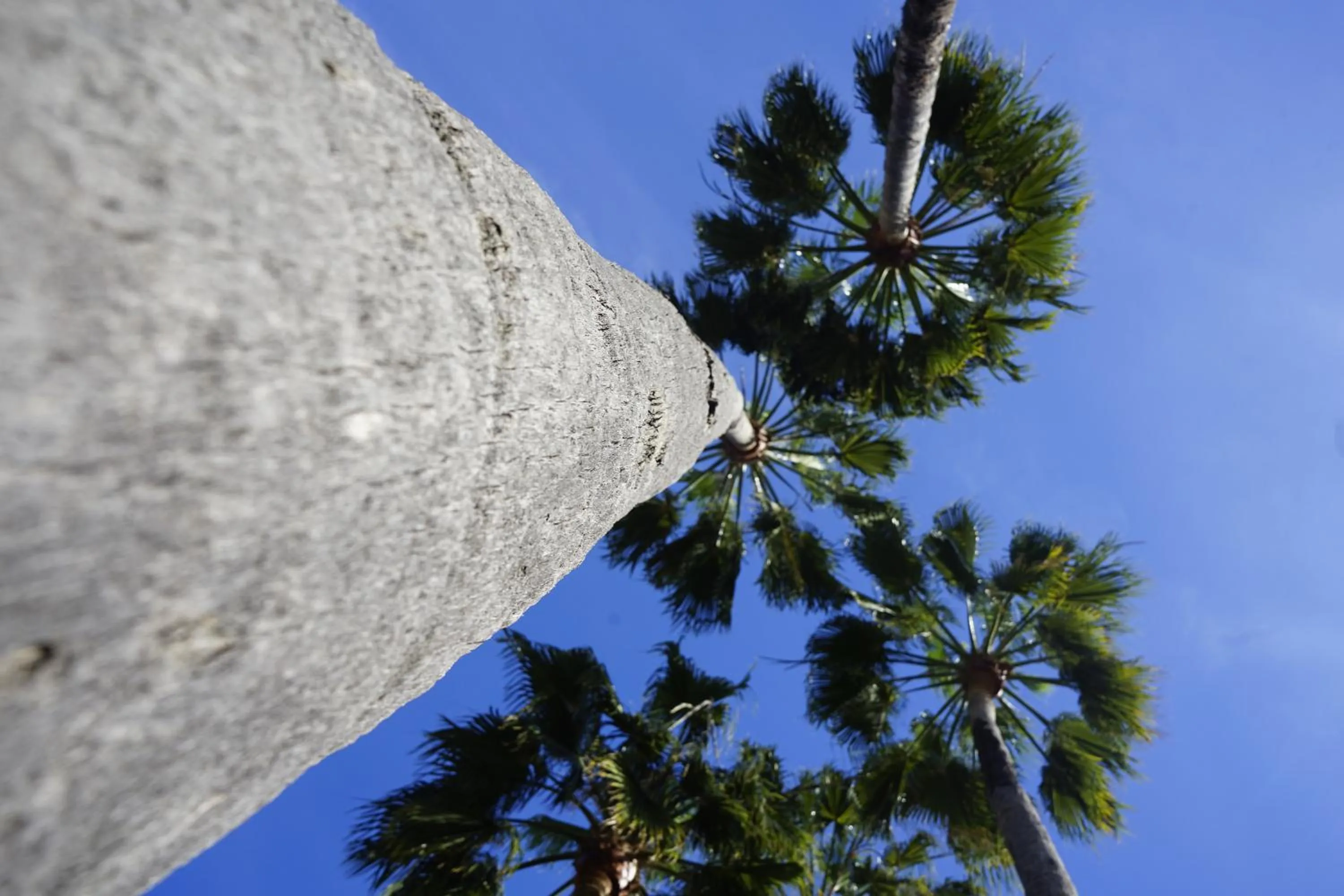 Alcaidesa Boutique Hotel