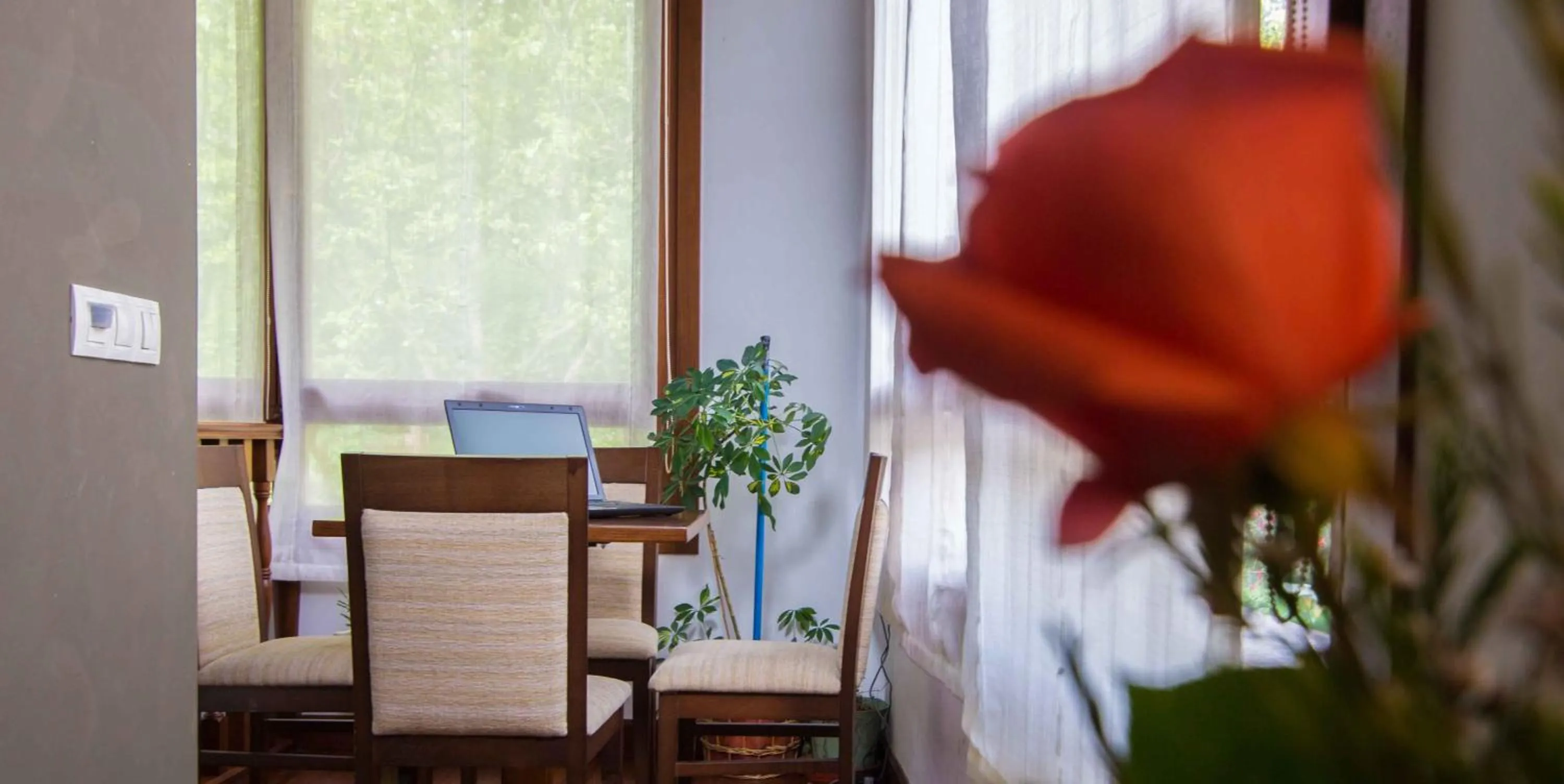 Library in Gran Hotel Rural Cela