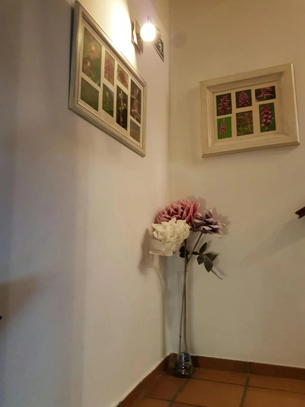 Area and facilities in Gran Hotel Rural Cela