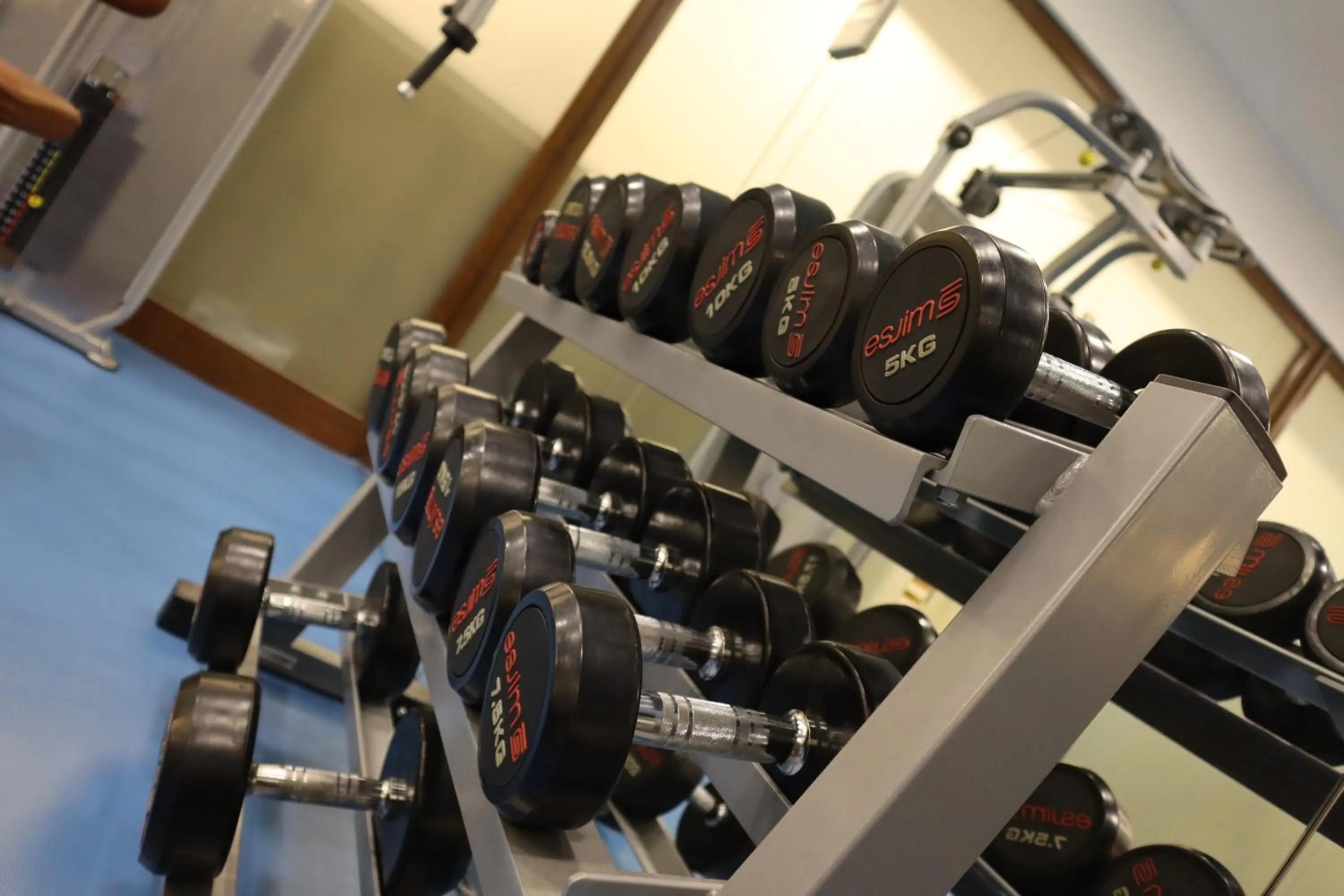 Fitness centre/facilities in GHERDAN GOLD OTEL