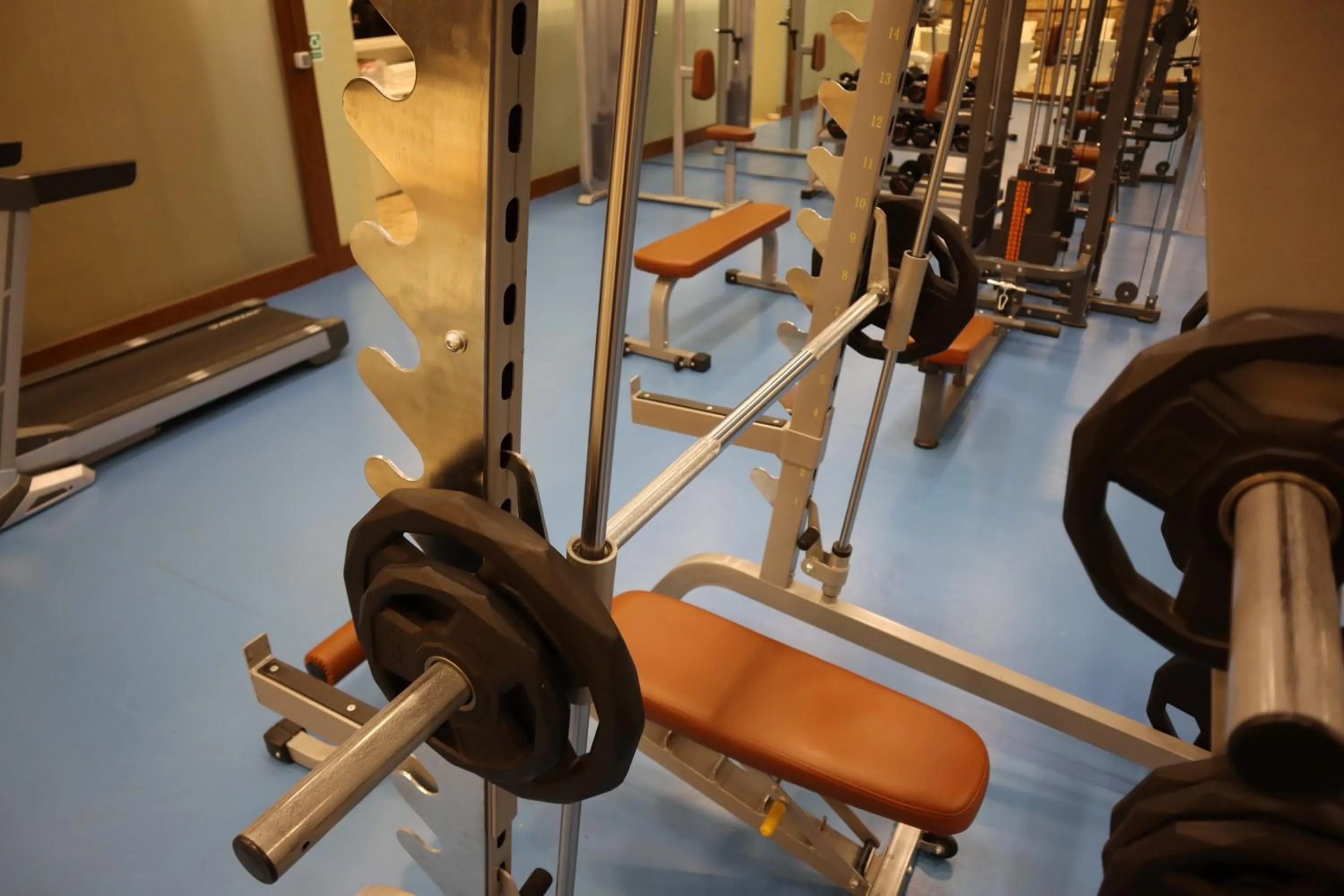 Fitness centre/facilities in GHERDAN GOLD OTEL