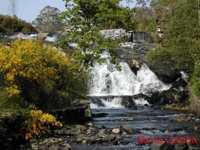 Natural landscape in Hotel Xallas
