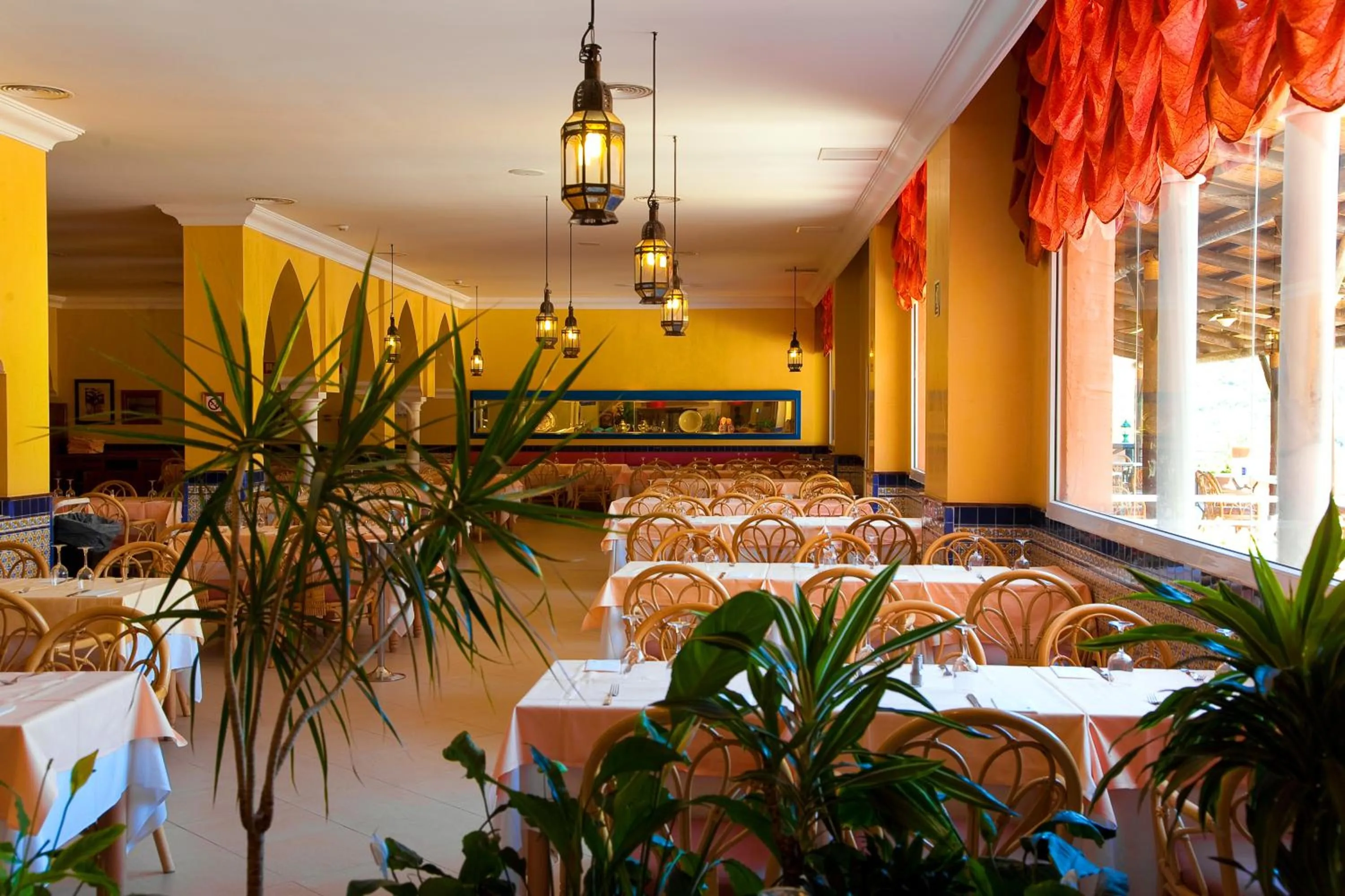 Food and drinks in Playacálida